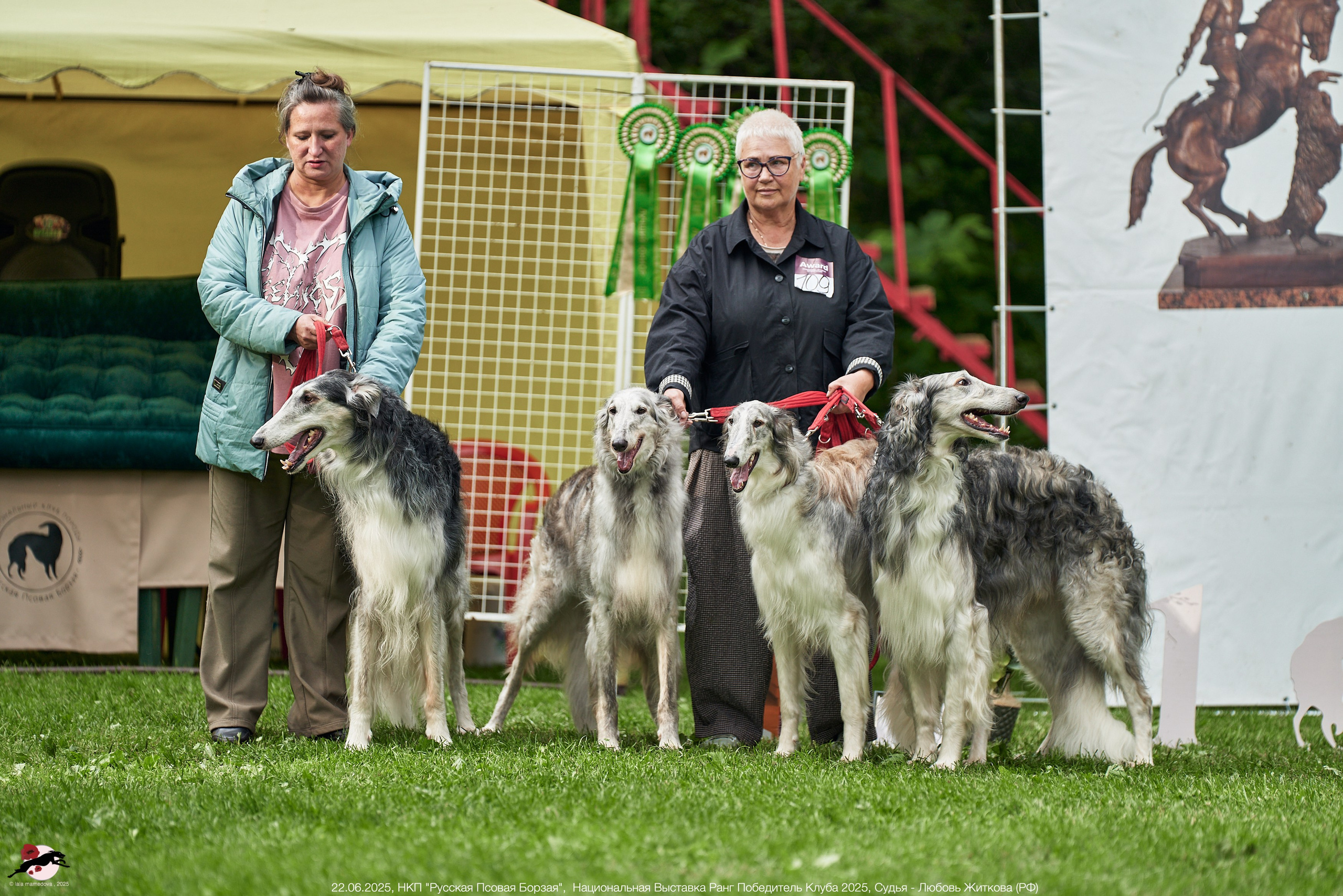 22.06.2025 | Национальная Выставка НКП "Русская Псовая Борзая"