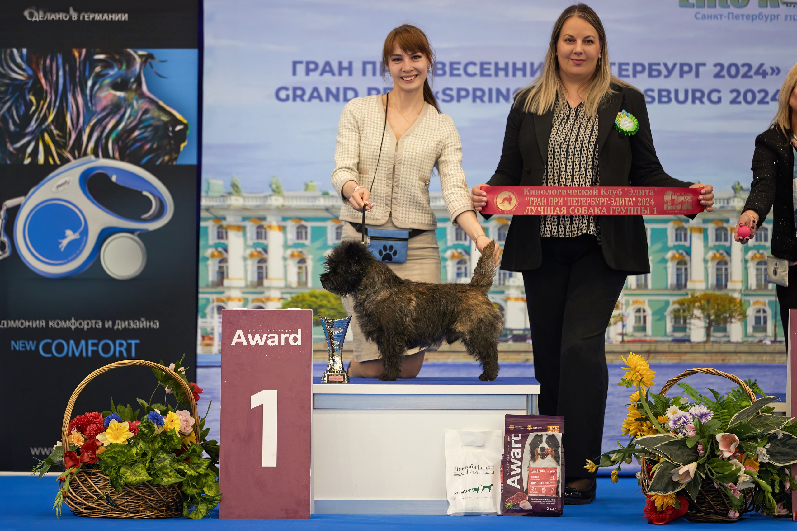 NDS GRAND PRIX «SPRING PETERSBURG 2024» «ELITE-PETERSBURG 2024». ФОТОГРАФ-АНИМАЛИСТ l LANA POLYAKOVA