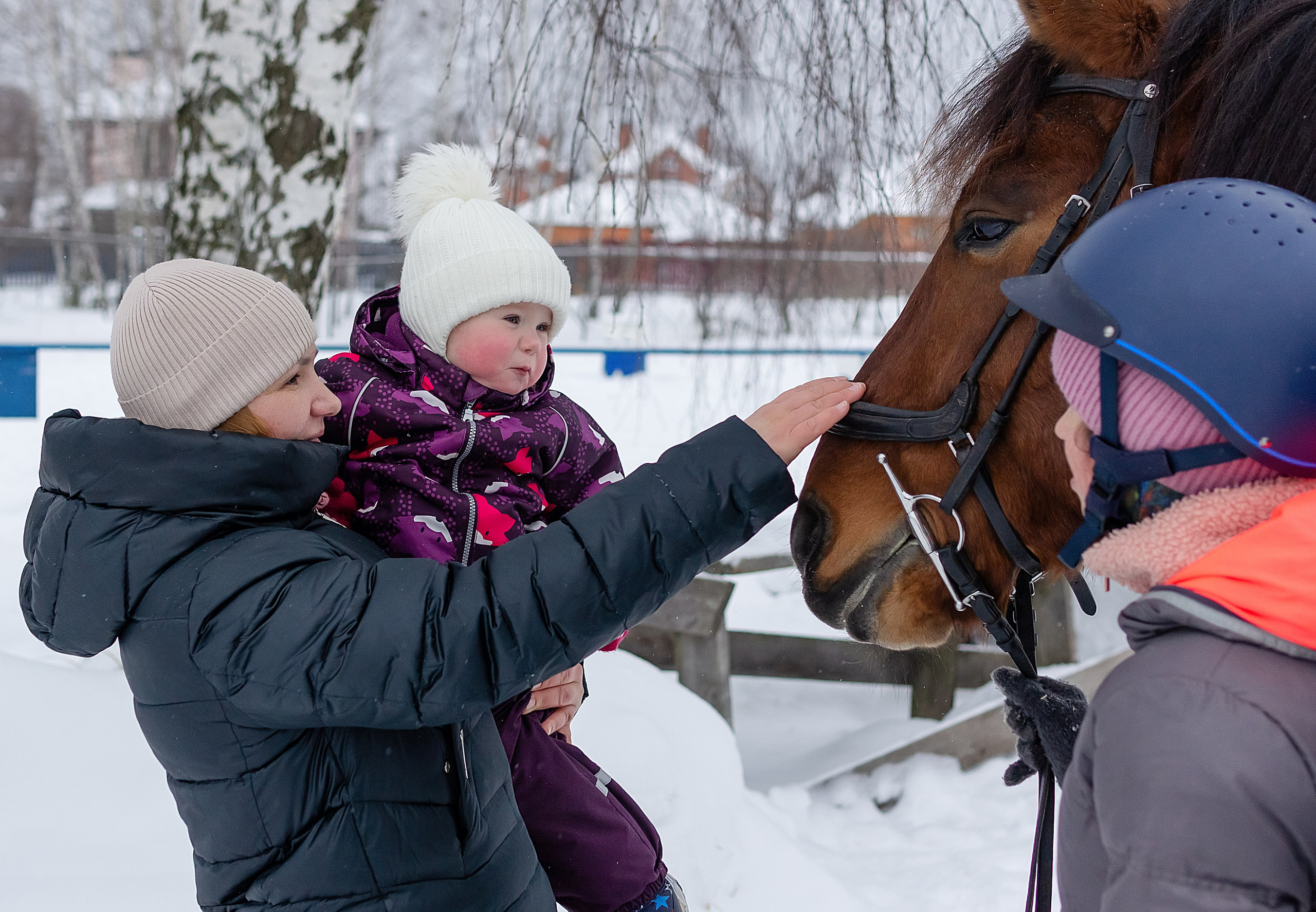 Фотосессия в конном клубе