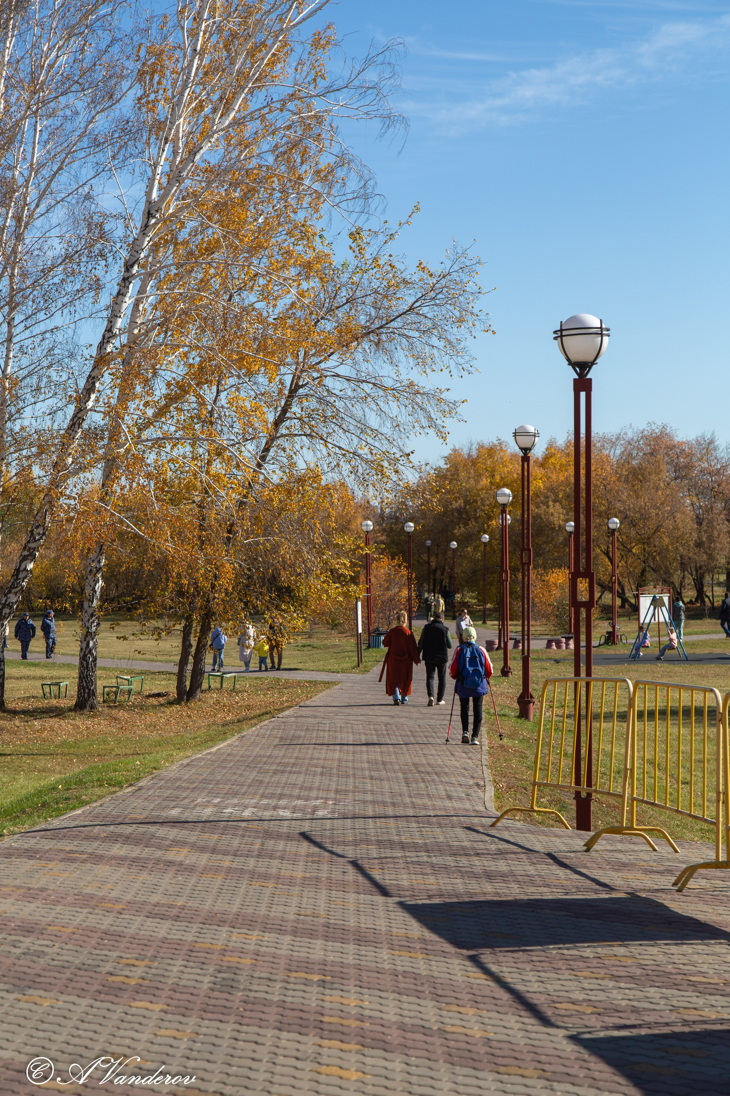 День ходьбы 2024. Фотограф Омск | Александр Вандеров