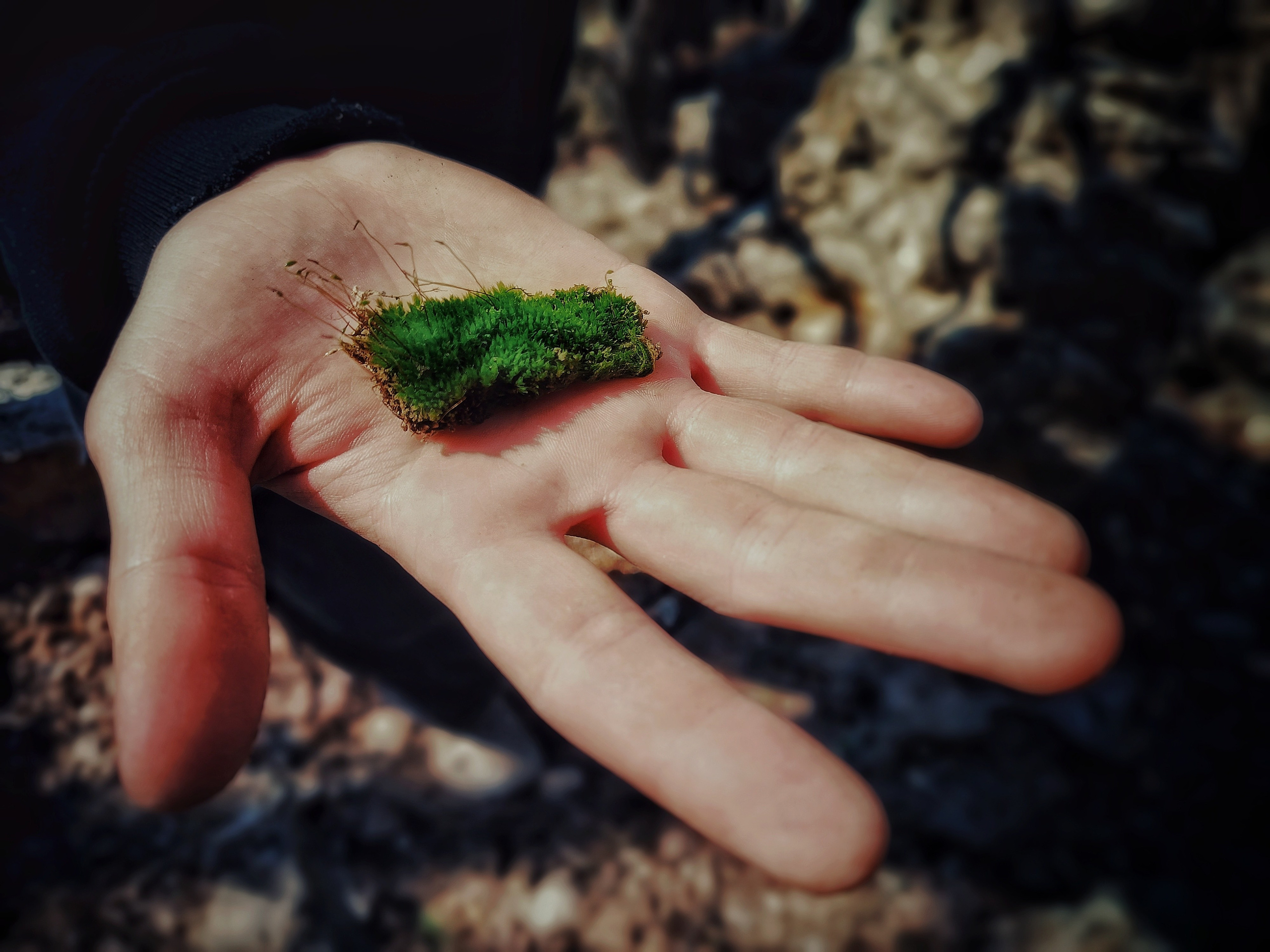 Исчезающие. Фотограф в Самаре Варвара Макарова