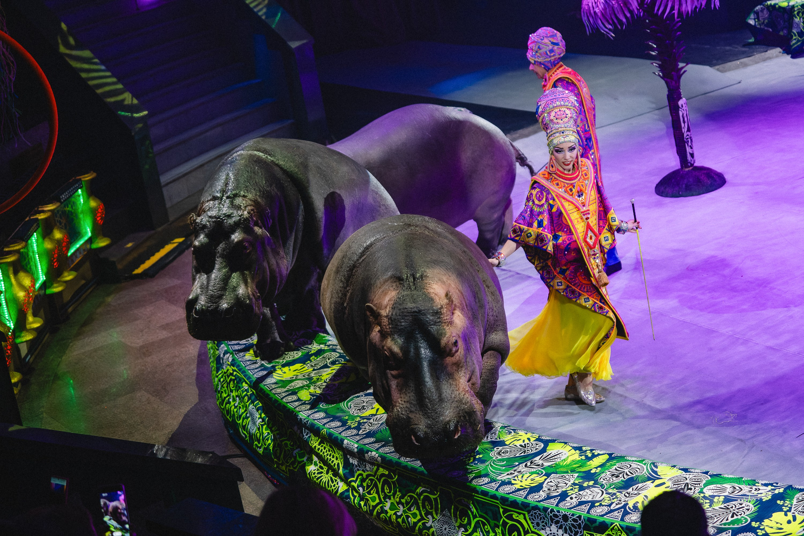 Пресс-показ шоу «Песчаная Сказка». Воробьева Ксения — Спортивный и танцевальный фотограф Новосибирск