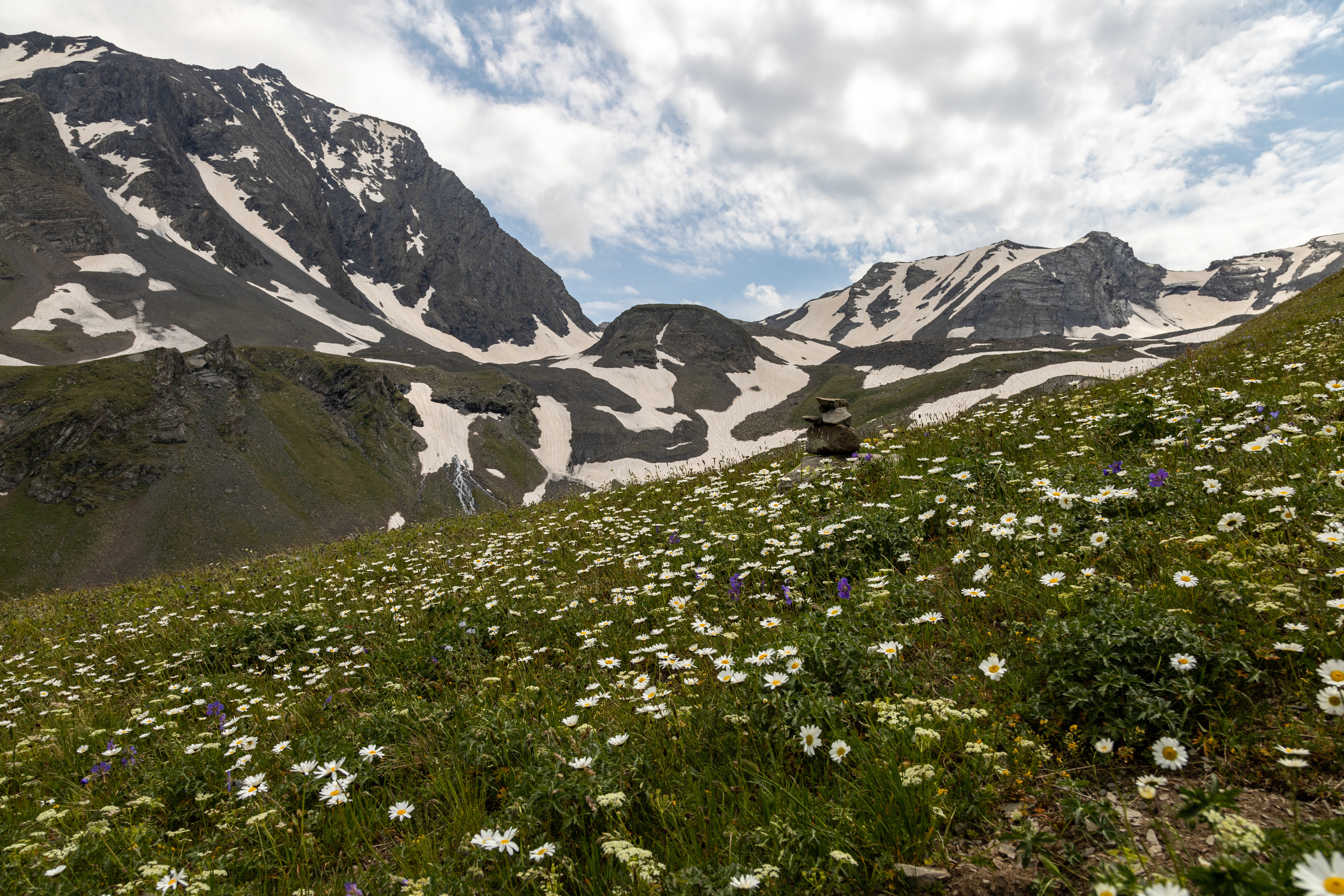 Альпийские луга в Зругском ущелье, Осетия