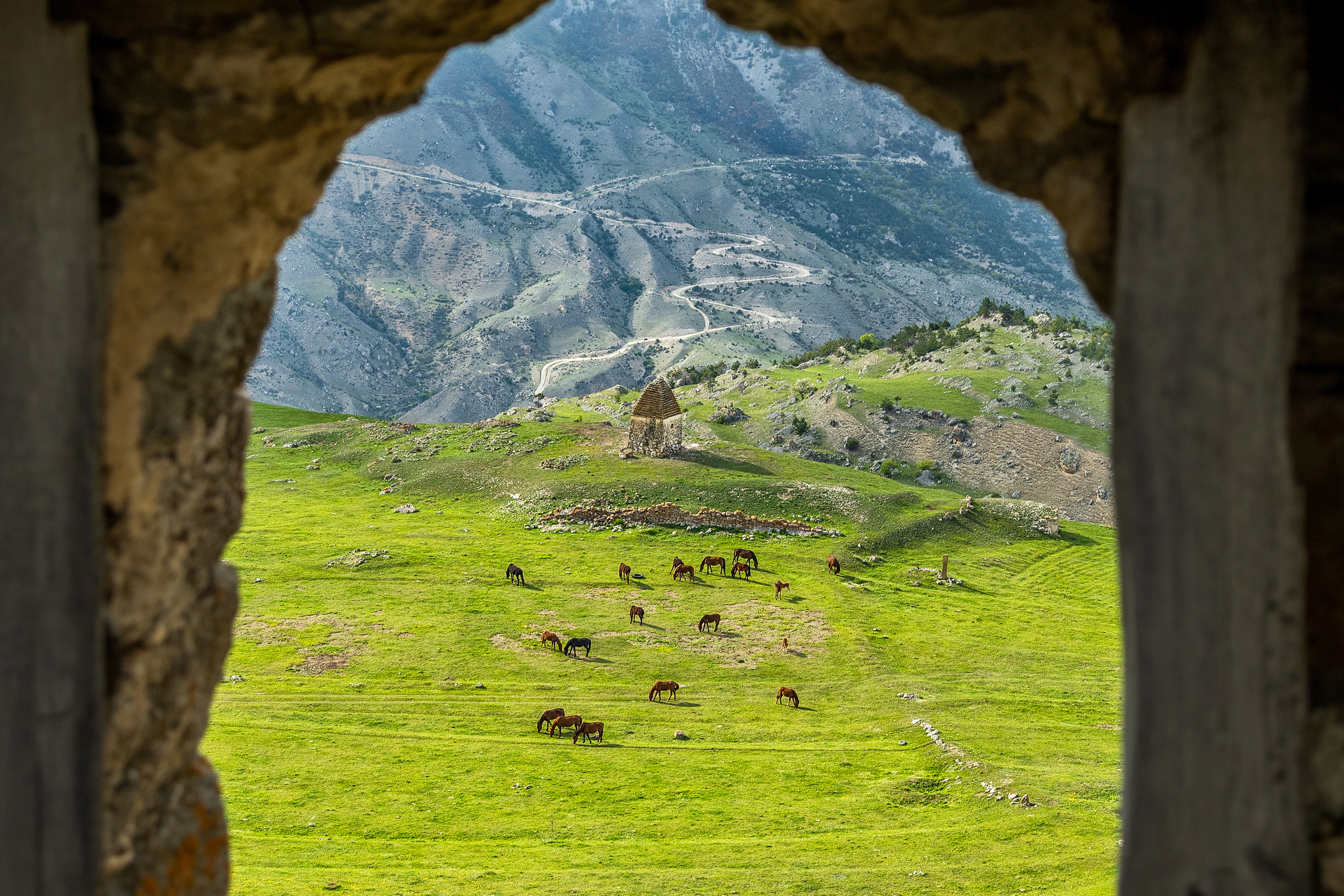 Селение Цамад, вид из древних башен. Лошади пасутся на фоне гор