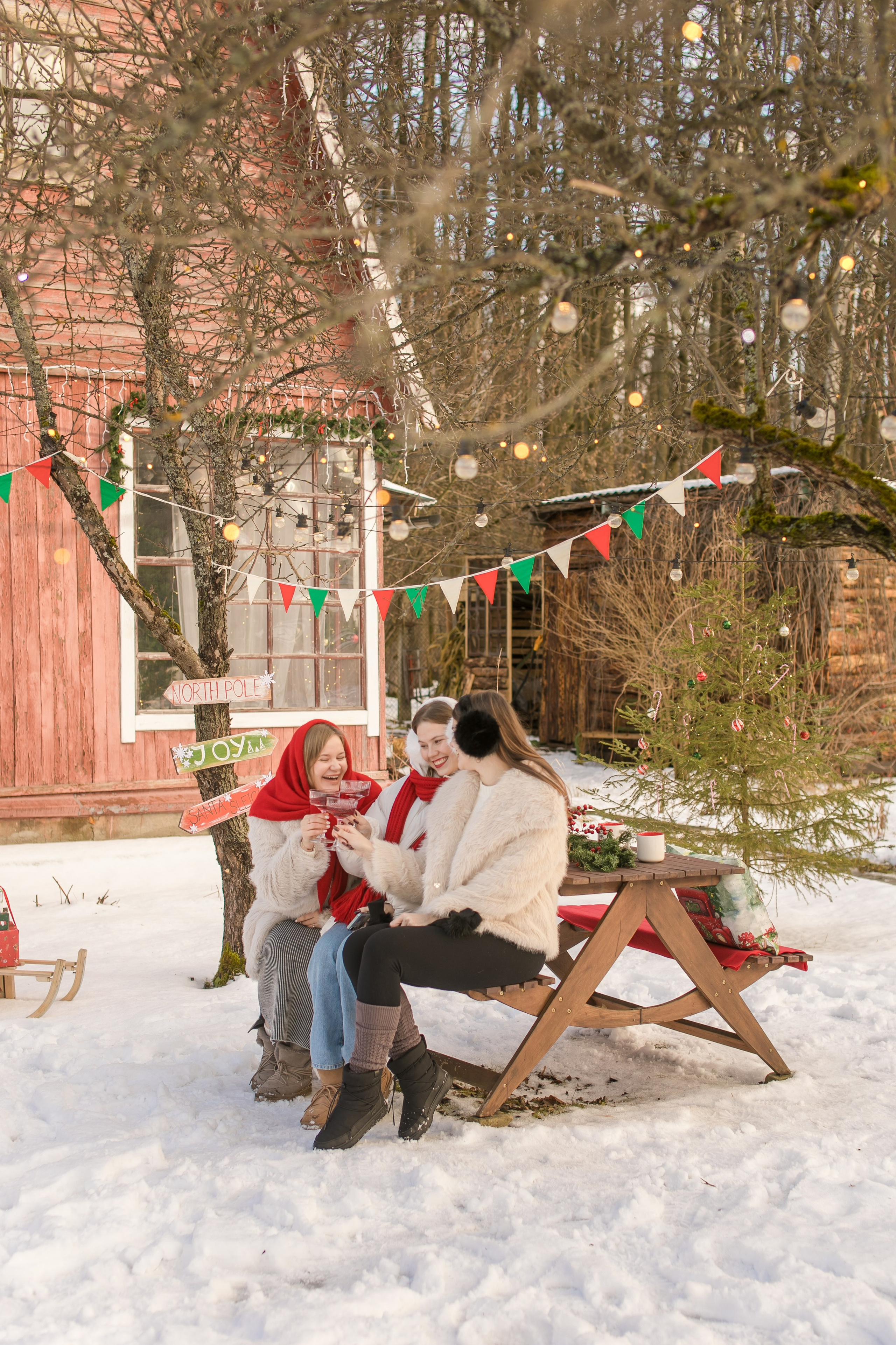 Фотодача новый год 2025-2026. Семейный фотограф в Москве Домодедово Московцева Алина
