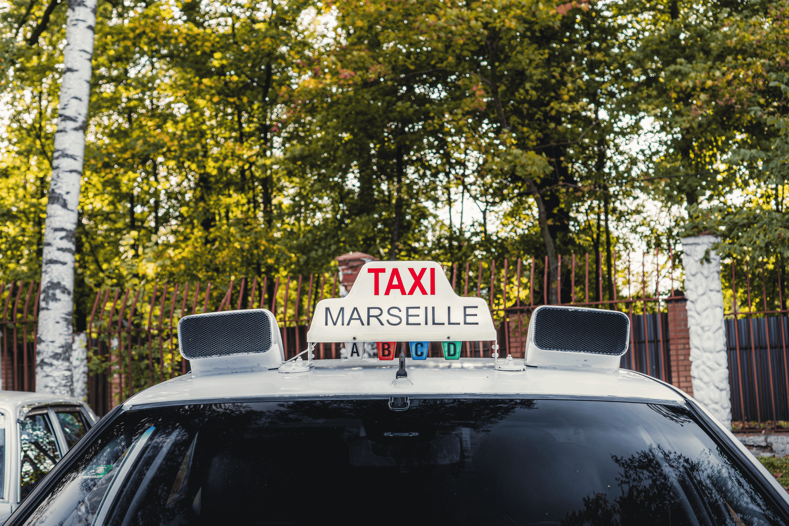 Samovar Meet: солнечный миг уходящего сезона