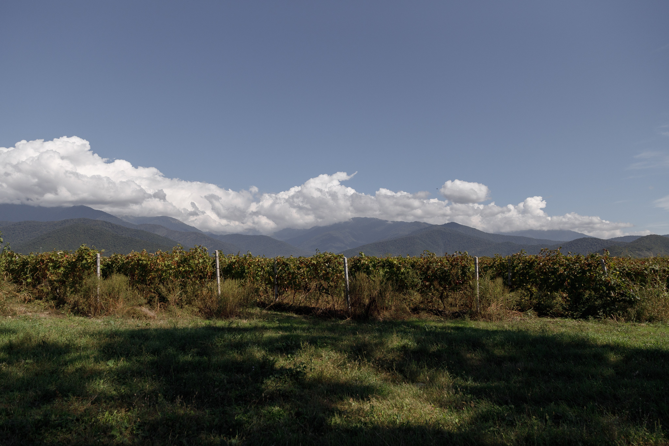 Интересные места Кахетии