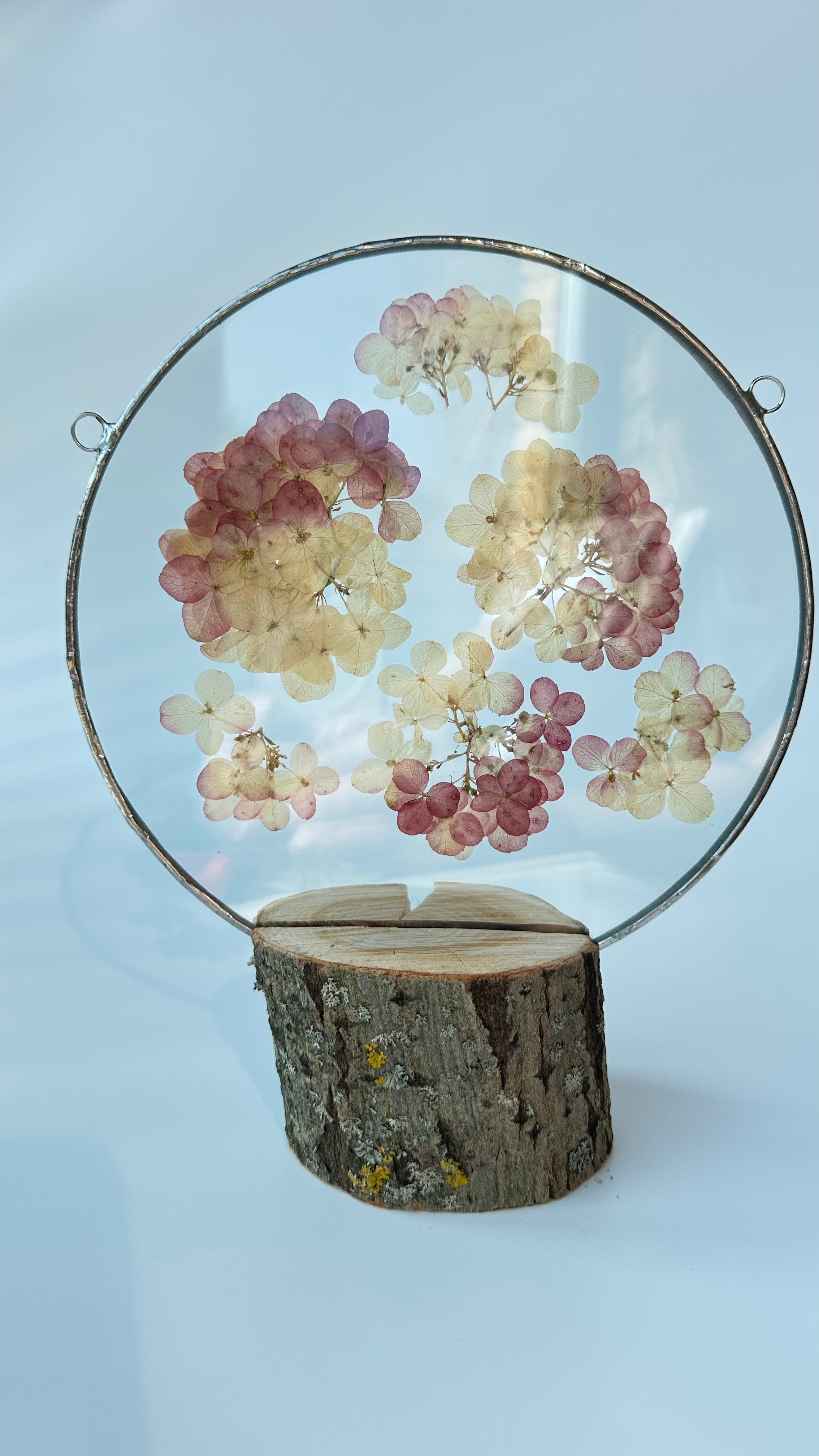 Гортензия круг 20 см. Оформляю пространства. Витражи с сухоцветами в технике Тиффани