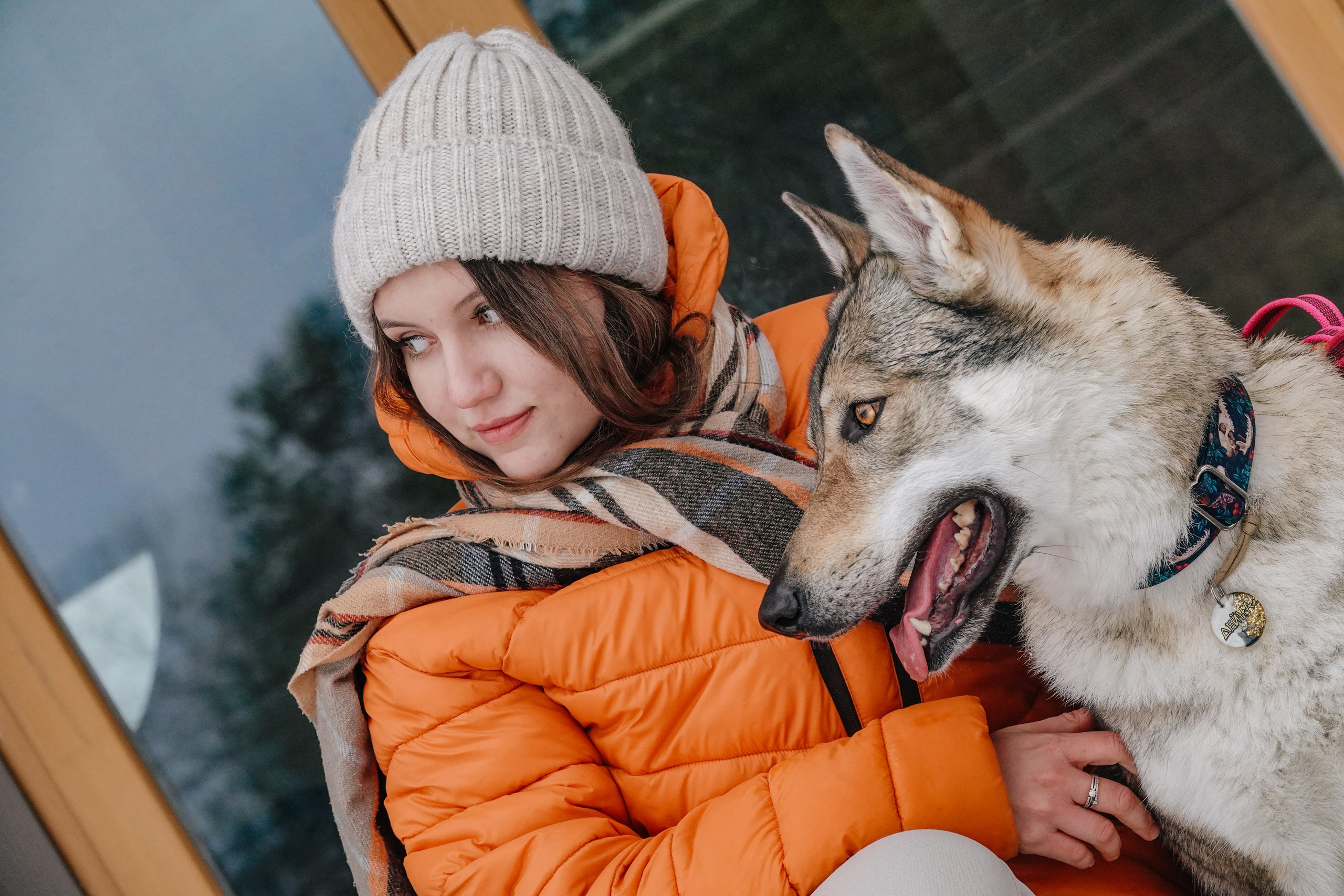 Волчьи старты. Фотограф-анималист в Москве Юлия Лайхо
