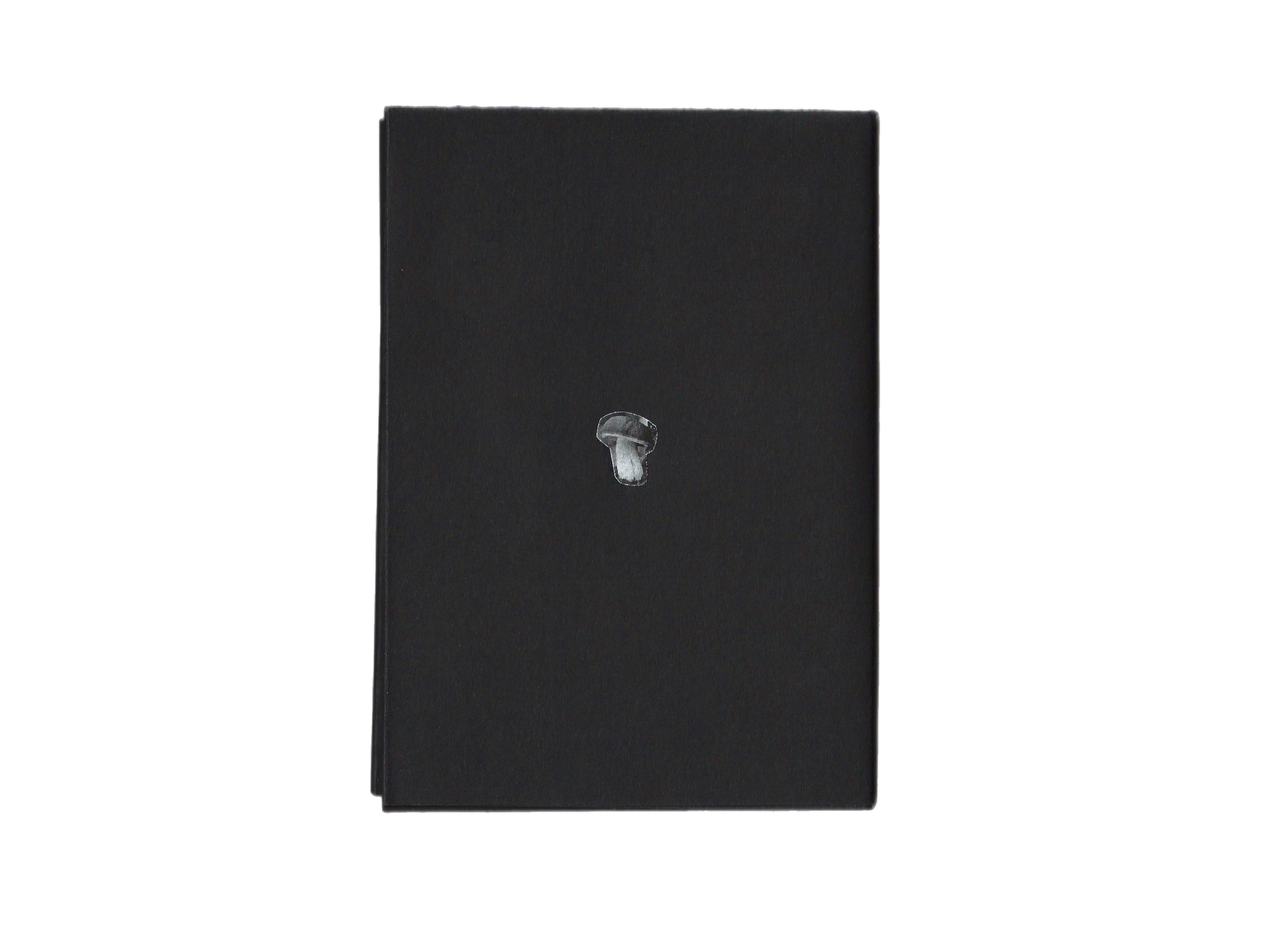 Зин «Лесная, 3». Фотограф и коллажист Ольга Шереметьева