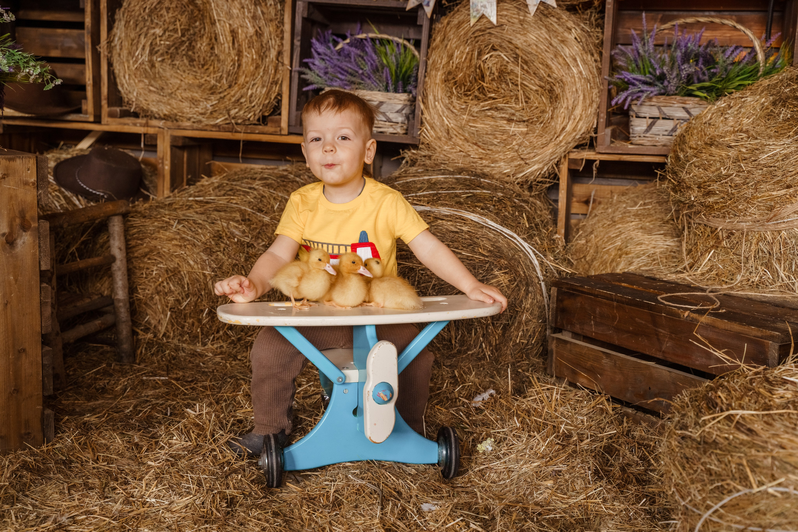 Фотосессия с утятами в студии