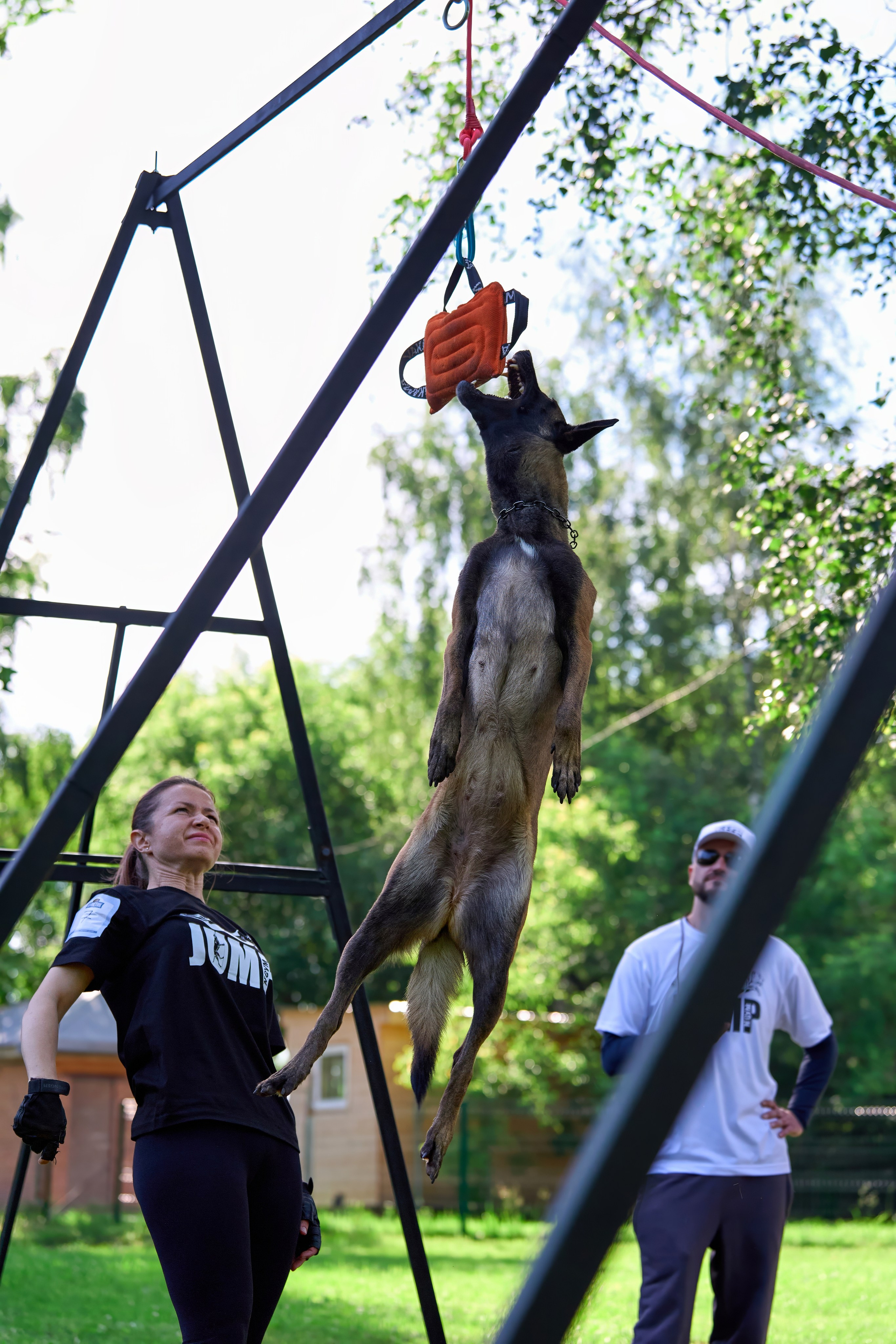 Двухдневные соревнования «Jump'n'Gym Fest — 2024». Фотограф-анималист Михаил Манухин