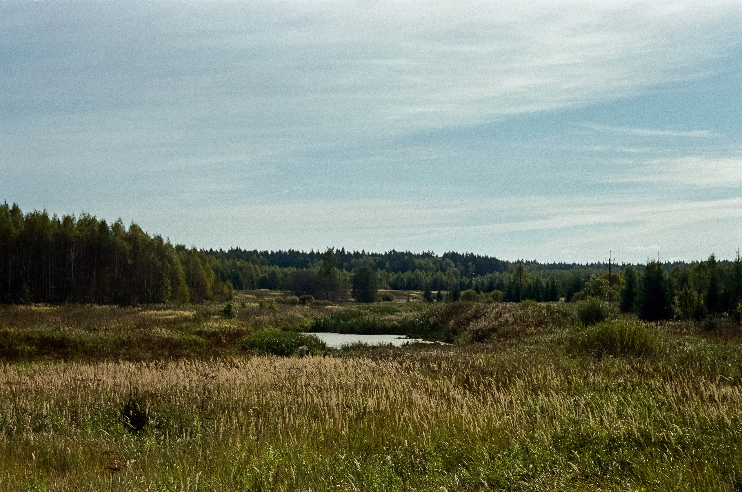 Voigtlander Vitessa / Color-Skopar 50 mm f/3.5 / Kodak Gold 100 (просрочка)