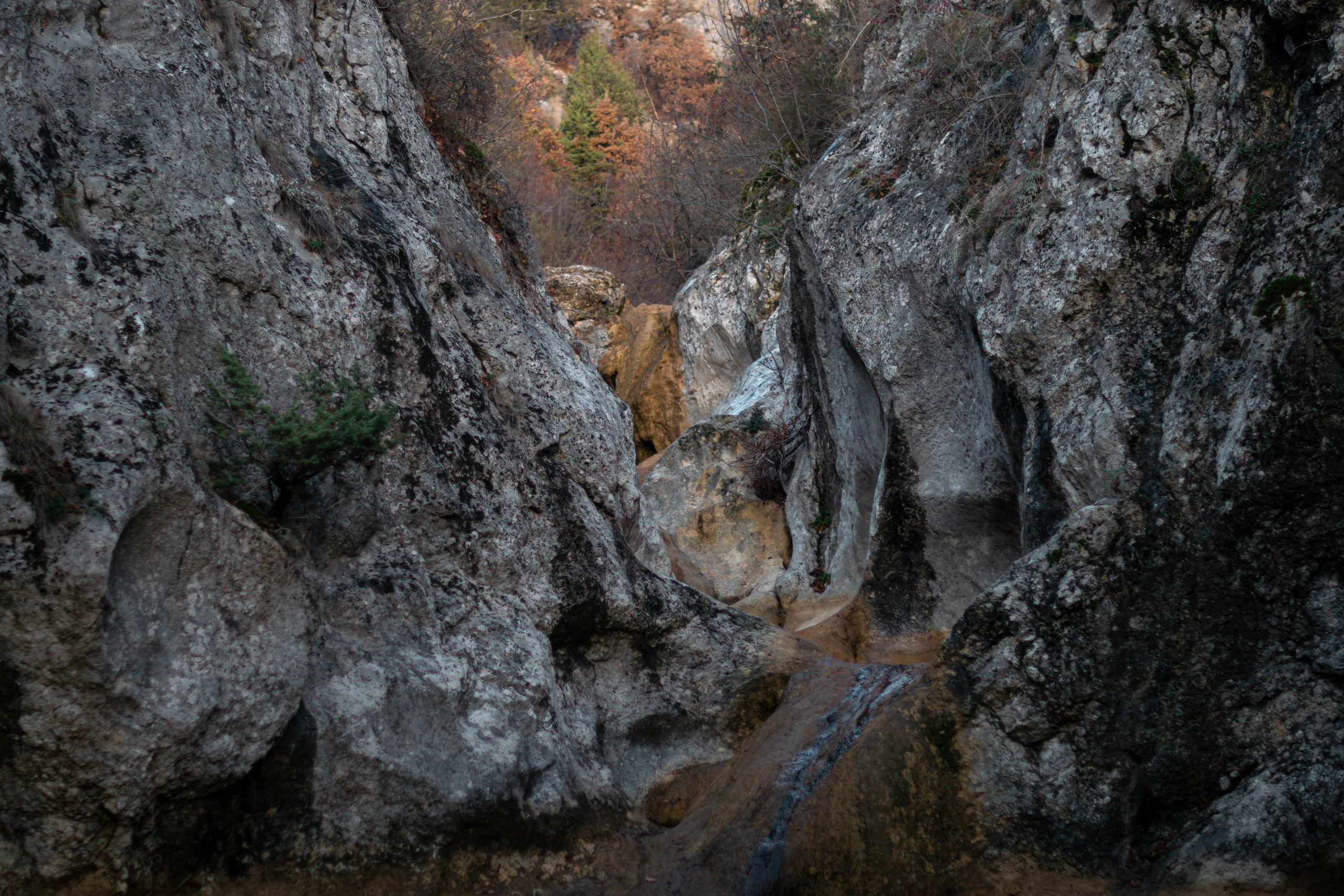 Шаман. Фотограф в Севастополе
