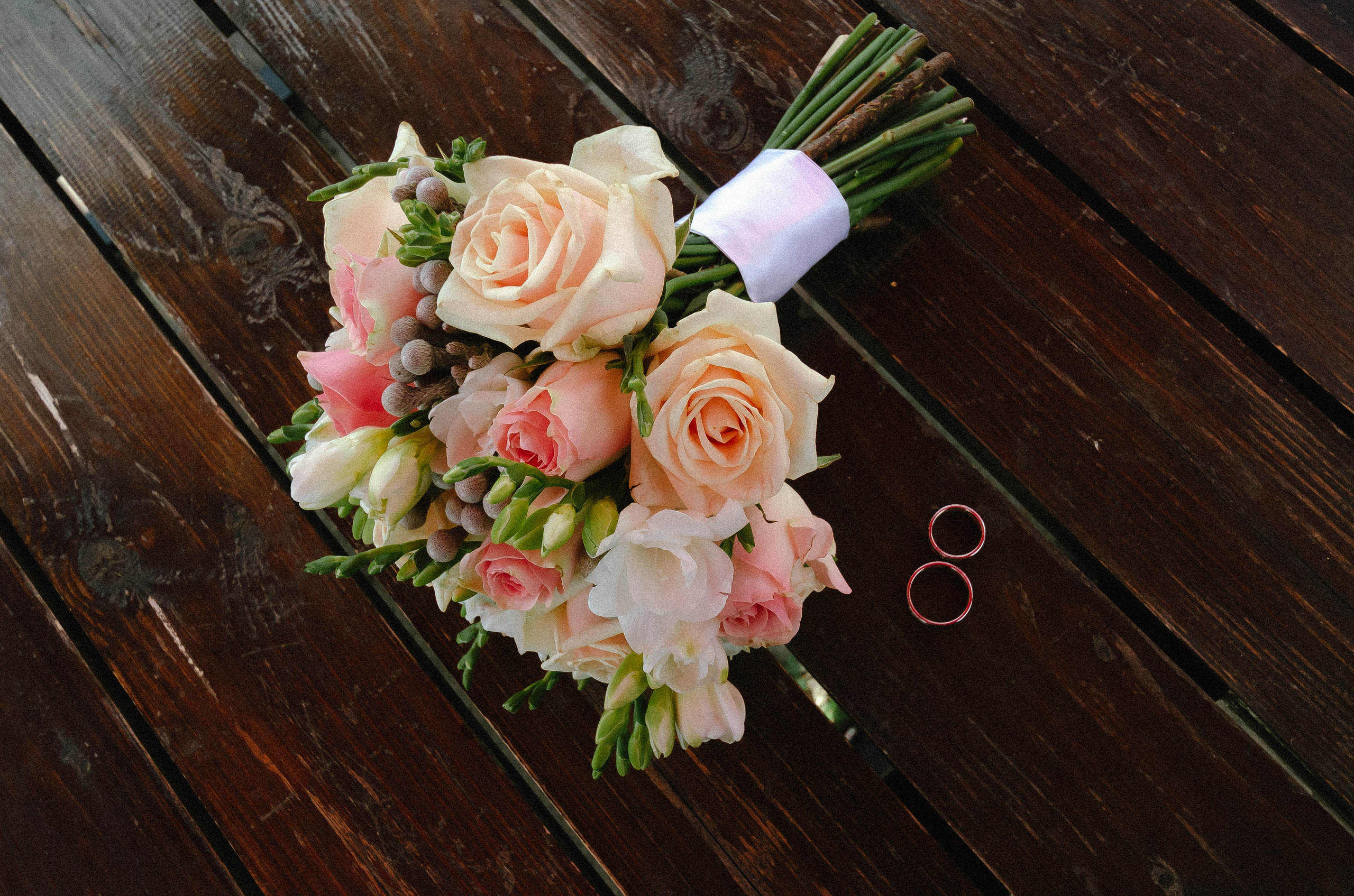 Фотограф Anastasya Efimova