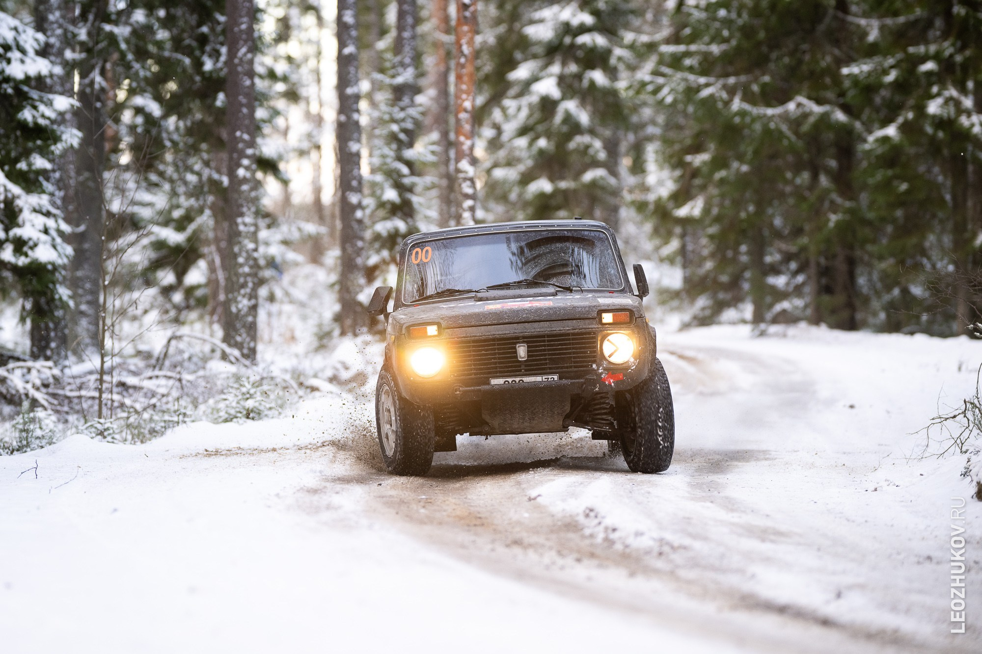 Rally Vyborg 2024. Sports photographer Leonid Zhukov