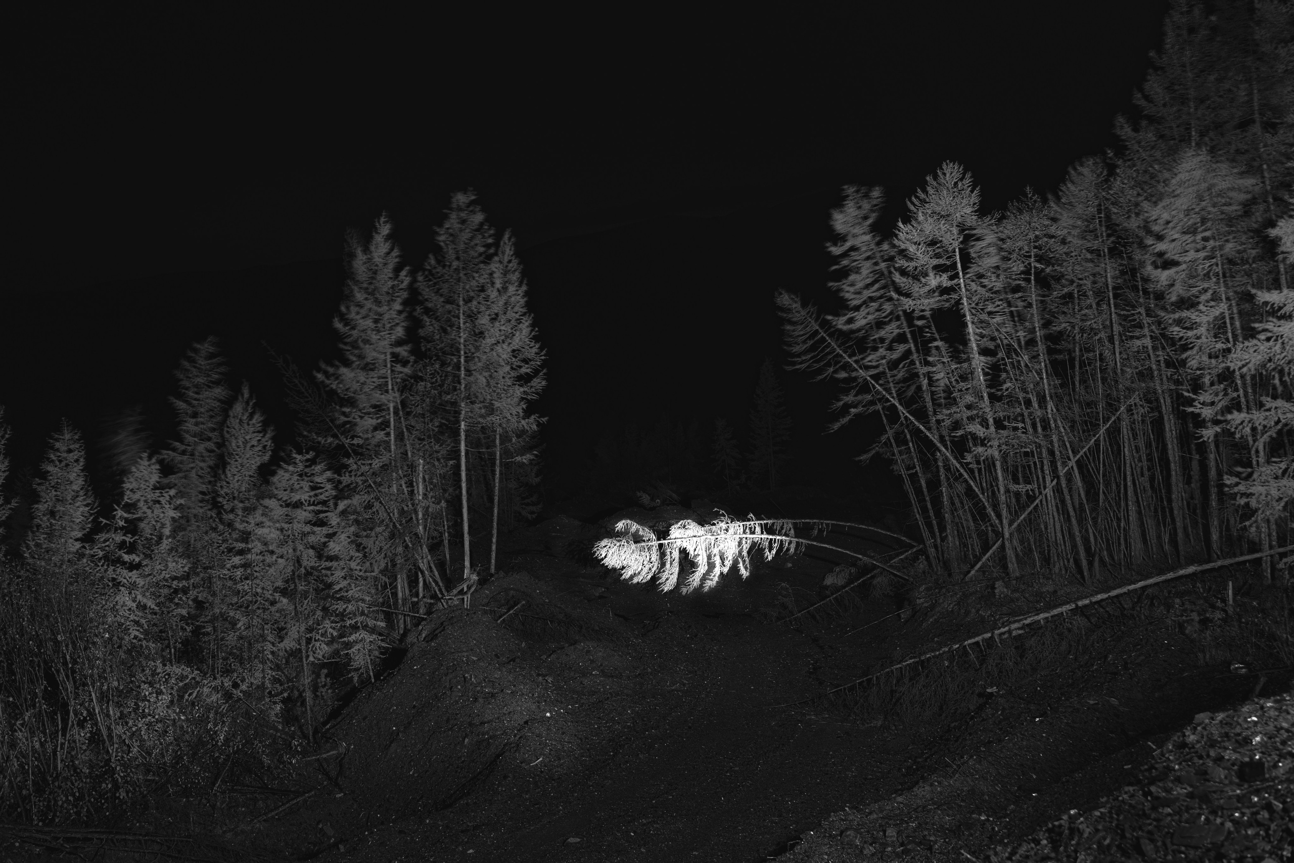 Город Солнца. Элина Гусарова