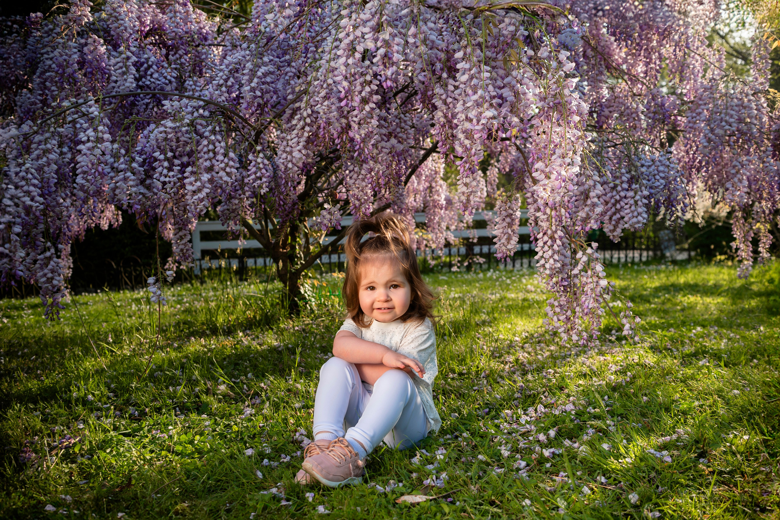 девочки,глициния, фотошоп, искусственный интелект, Дендрарий, Сочи, локация