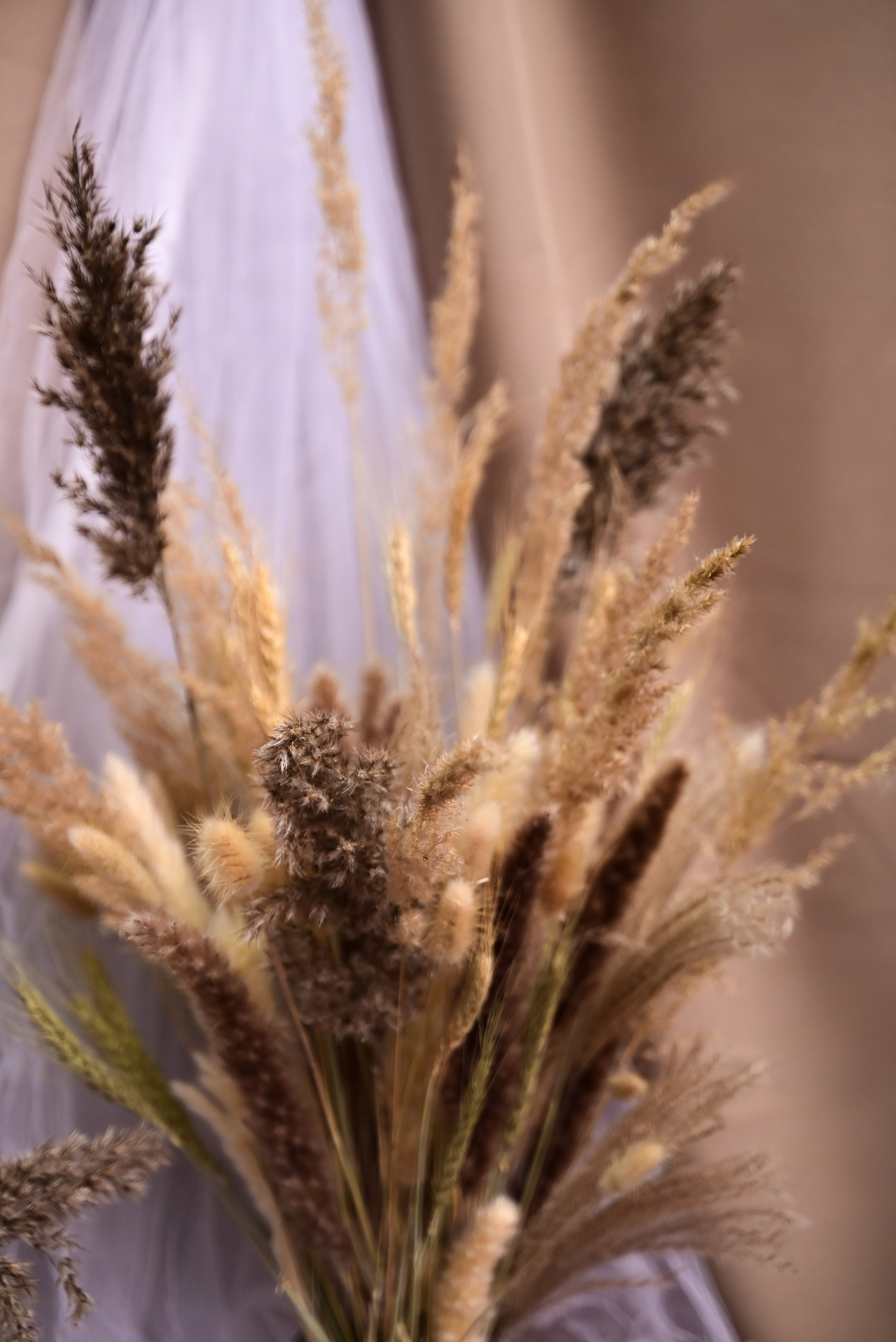 Зал — Sweet. Фотостудия Зефир. Фотосессии в студии под ключ. Москва. Семейные и детские фотосессии