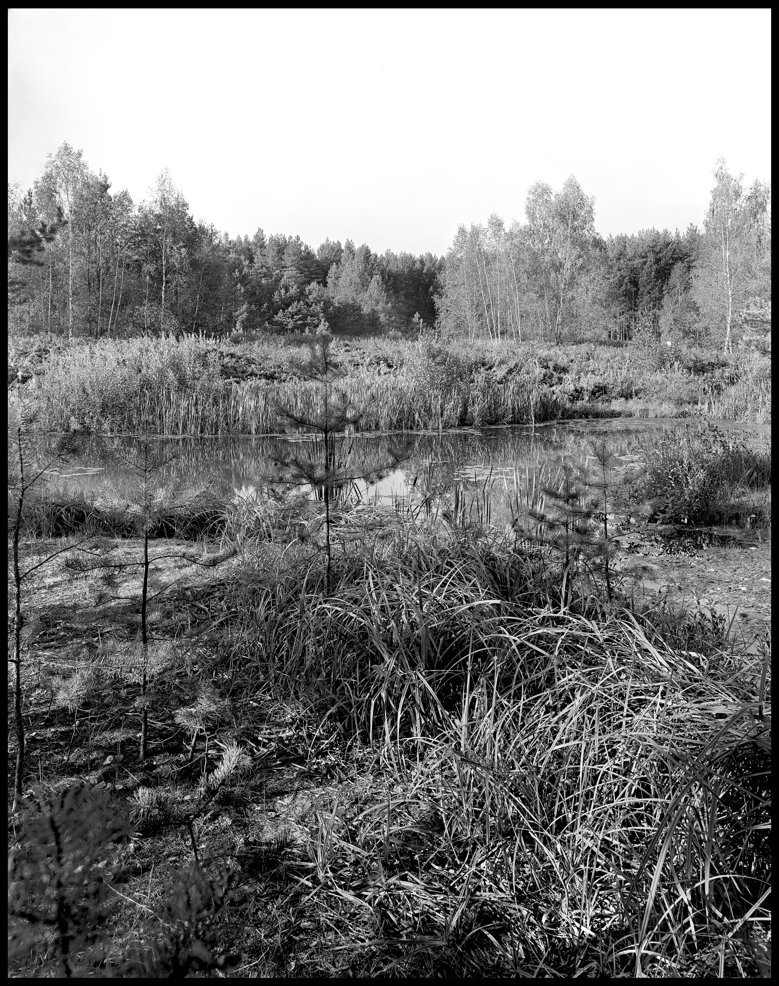 Landscape. Sergey Kondriuk art-photographer | artist