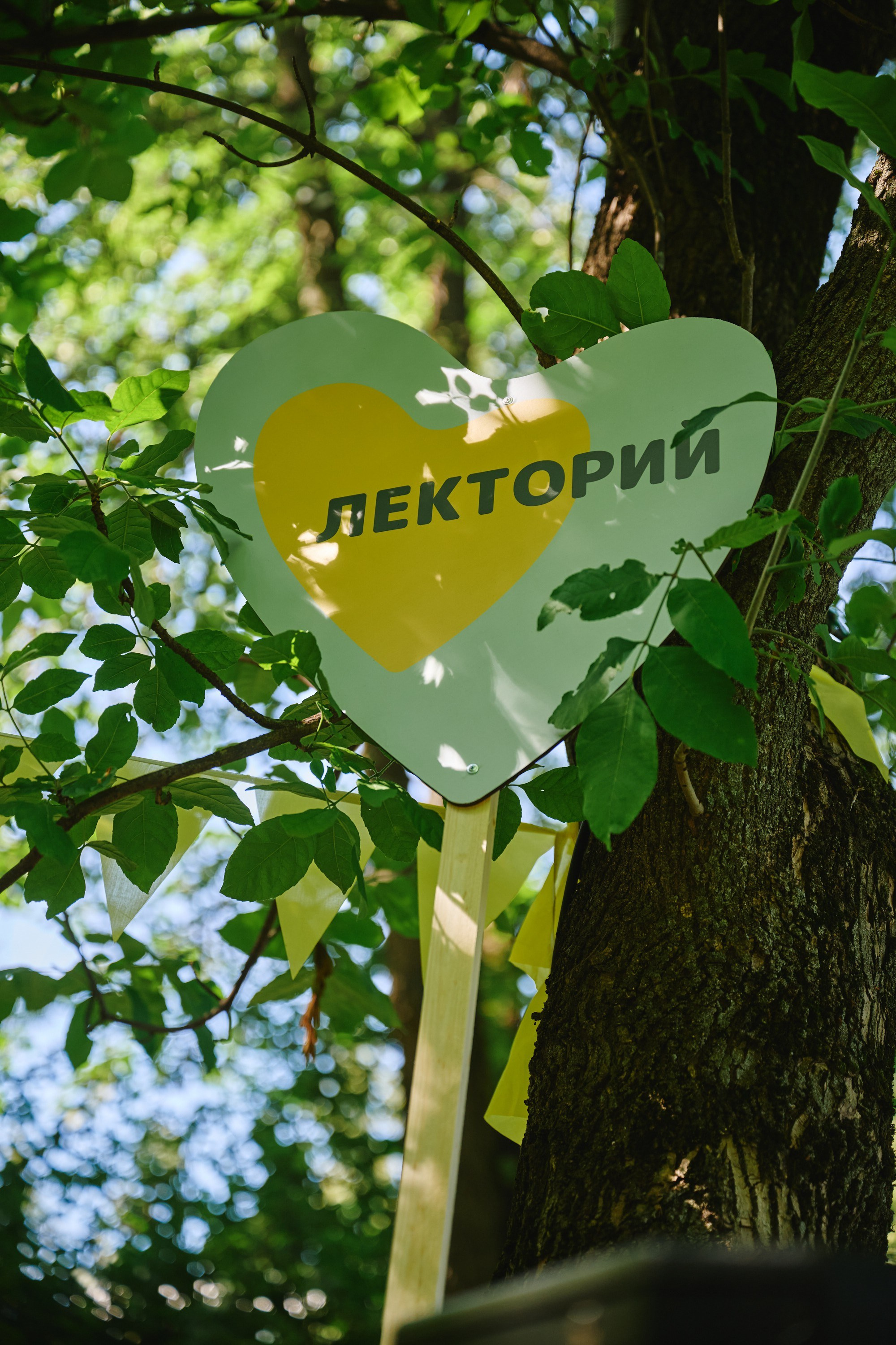 Ива фест 2025. Фотограф в Иваново: Каталожная съемка одежды и постельного белья, Wildberries