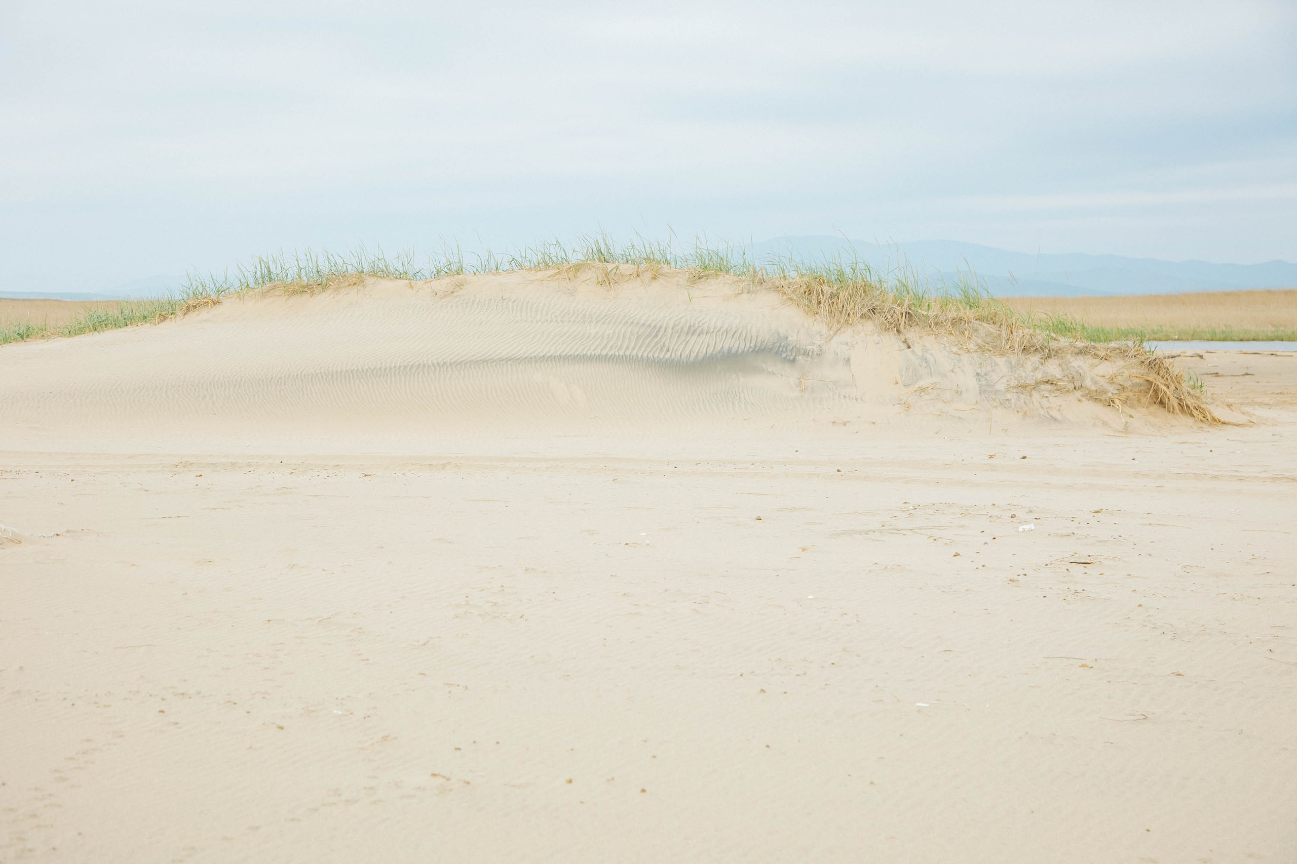 Пока не застроили. Evgeniya Kokurina