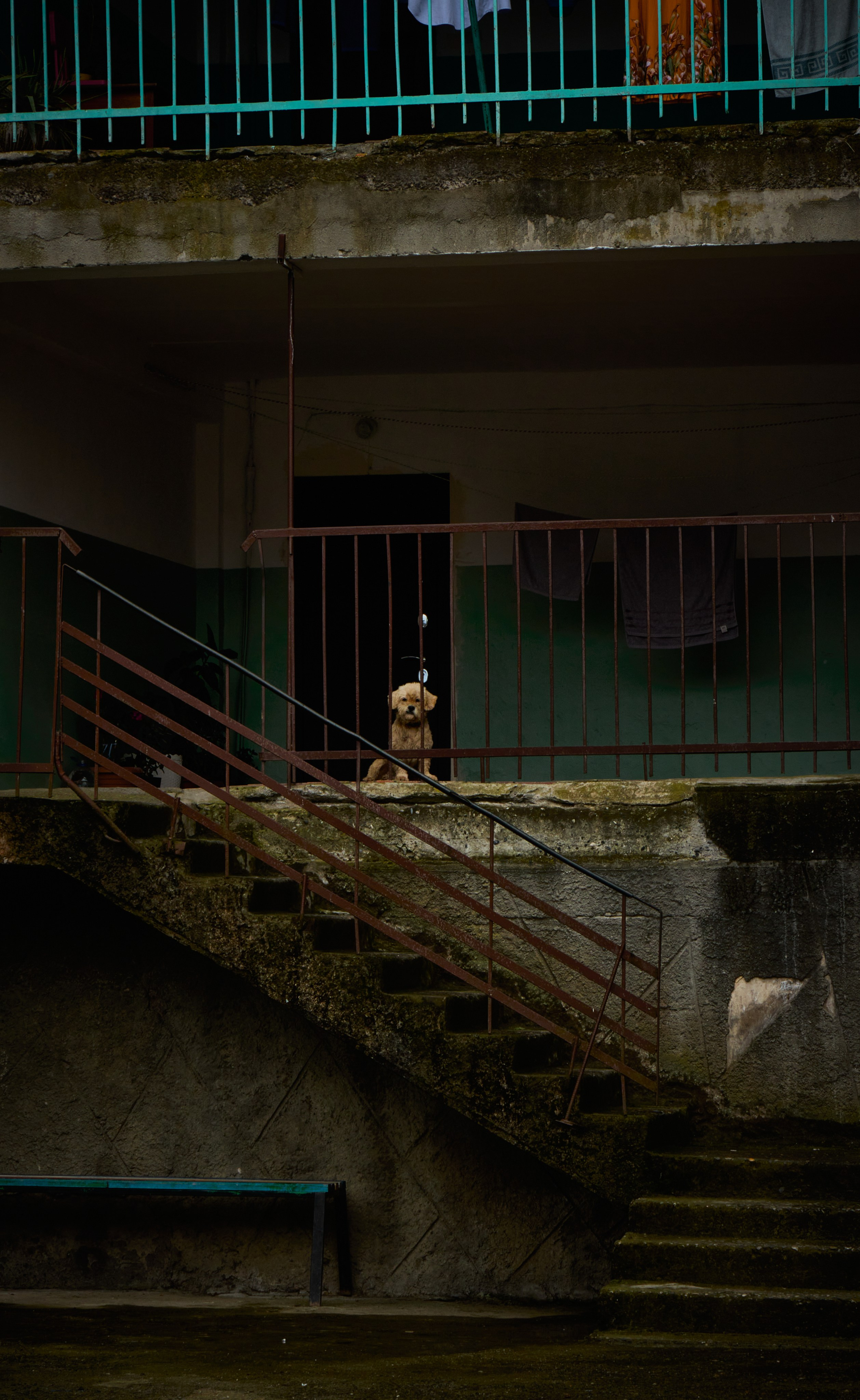 Фотограф Москва