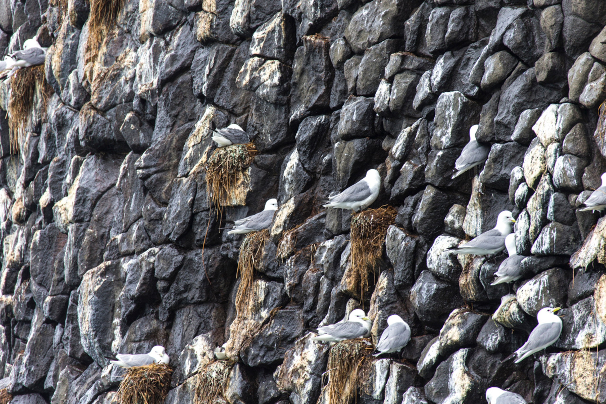 Мыс Зелёный — вулканические скалы и океанские виды. Время Камчатки: чтобы найти свой путь, нужно скорость умножить на время