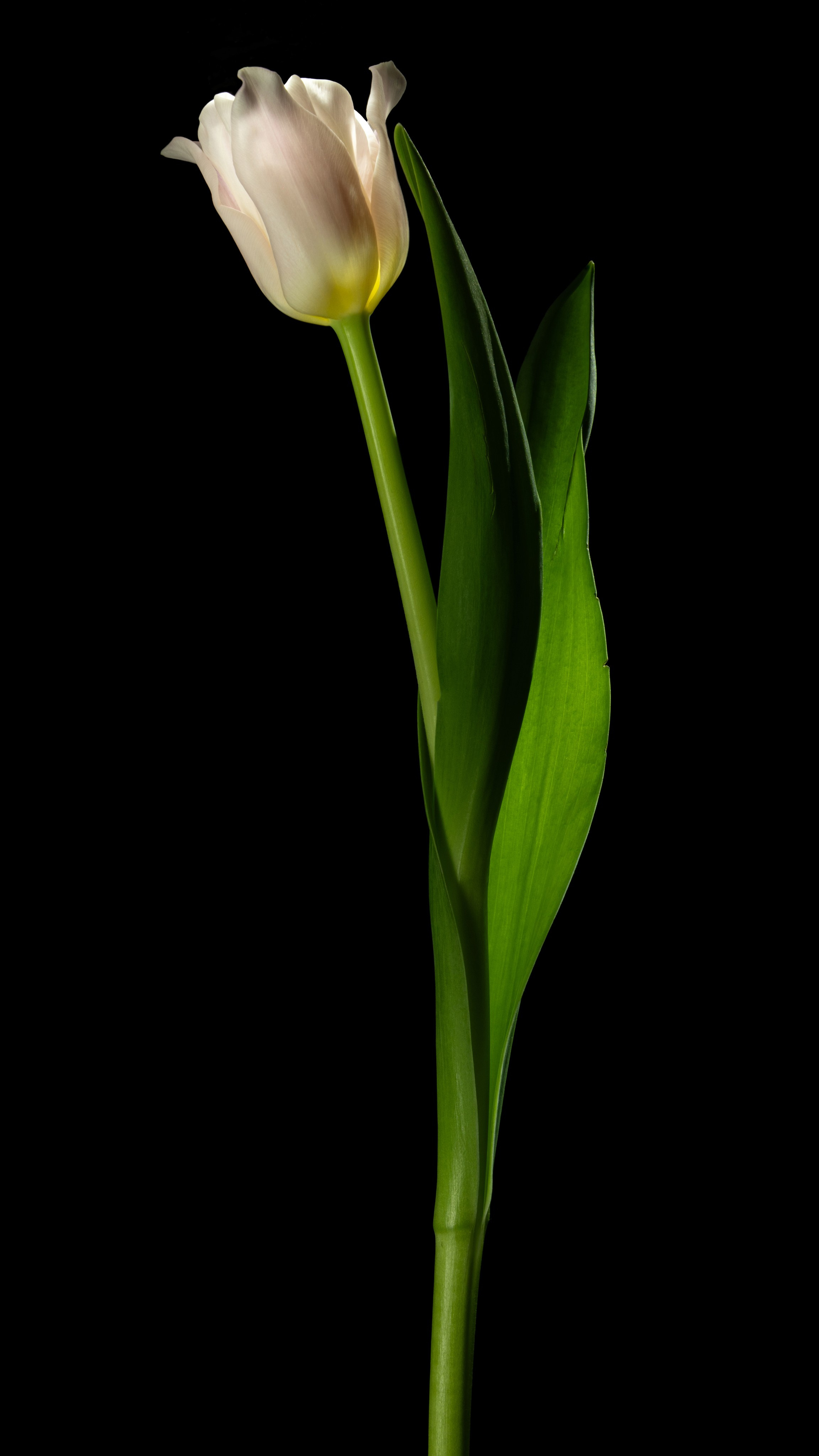 Проекты. Sakunov Photo