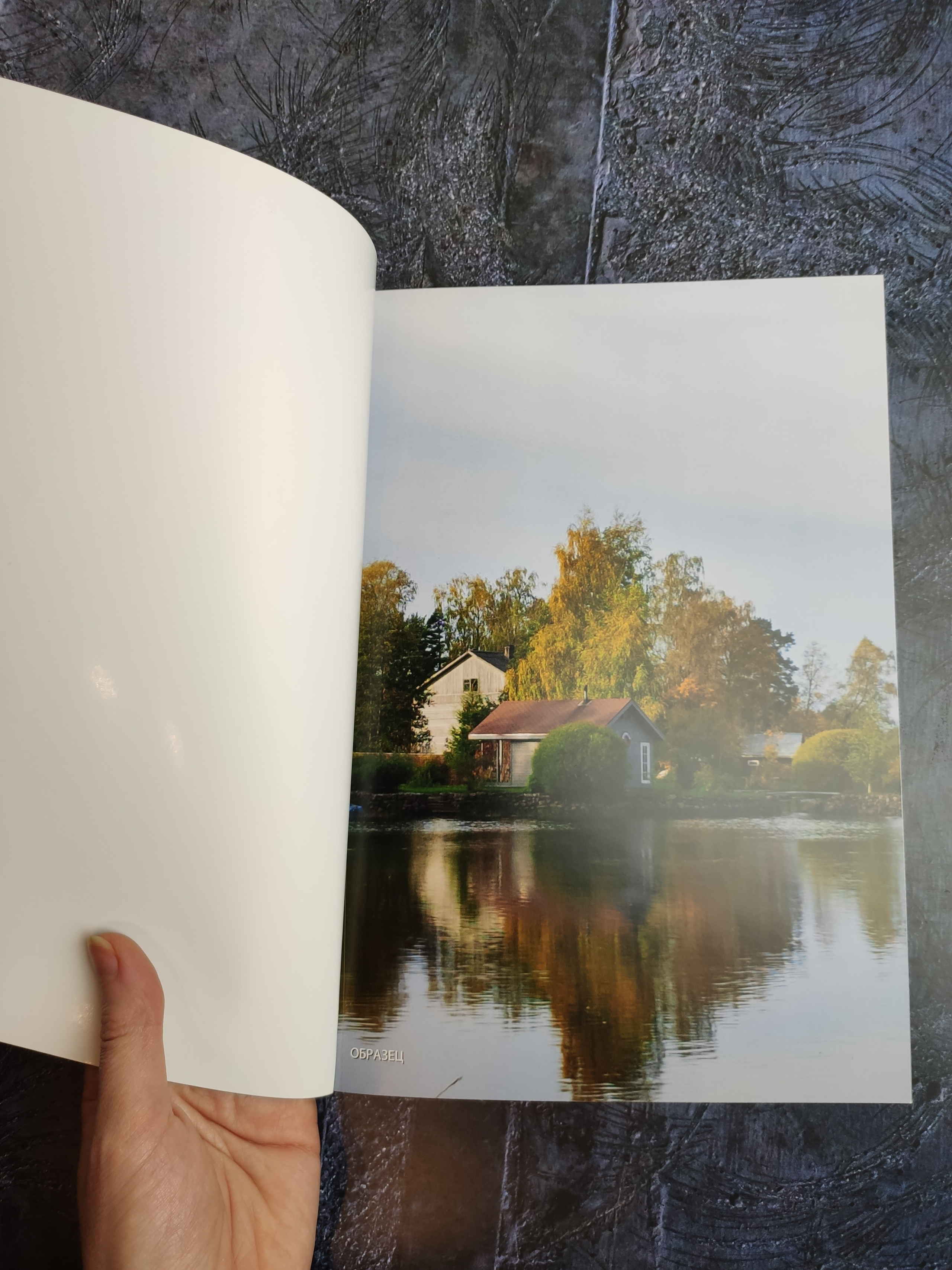 Услуги и виды фото сессий. Фотограф Тамара Нижельская Воронеж