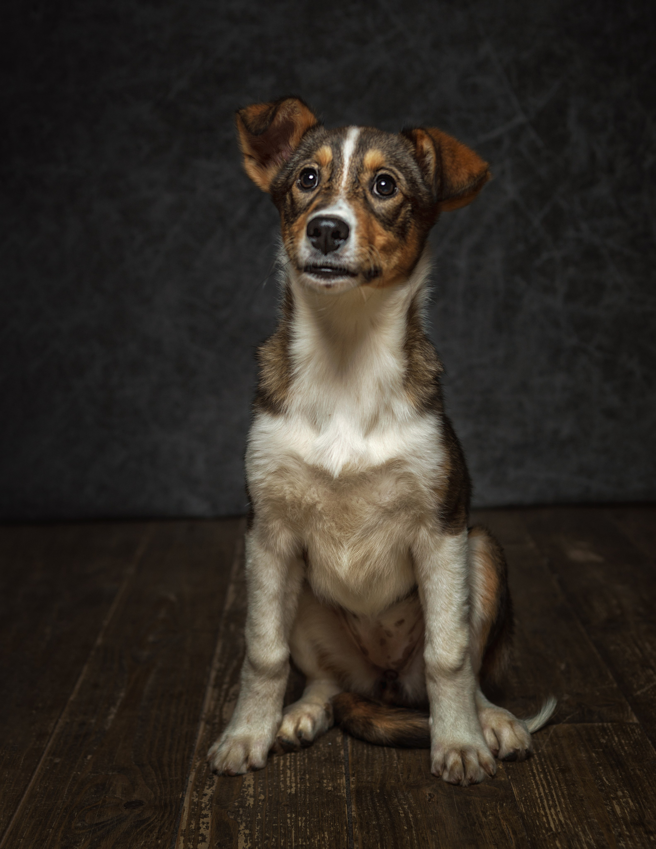 ДРУГ, НАЙДИСЬ. Антон Тимошевский, профессиональный портретный фотограф в Москве и Орле