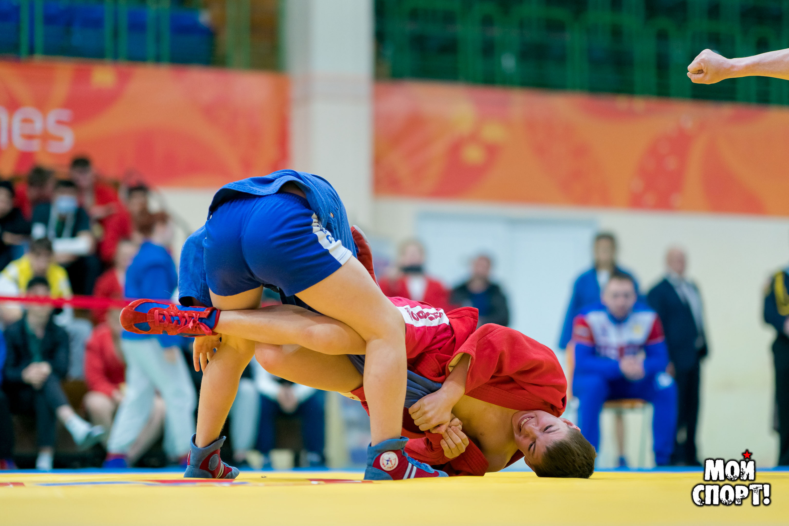 Всероссийские соревнования по самбо «Победа». Студия «Мой Спорт!» — все о спорте в Якутии