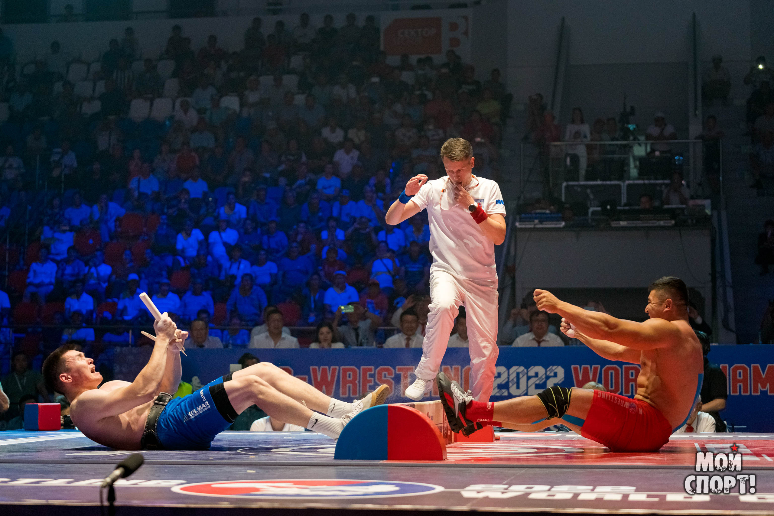 IV Чемпионат мира по мас-рестлингу. Студия «Мой Спорт!» — все о спорте в Якутии