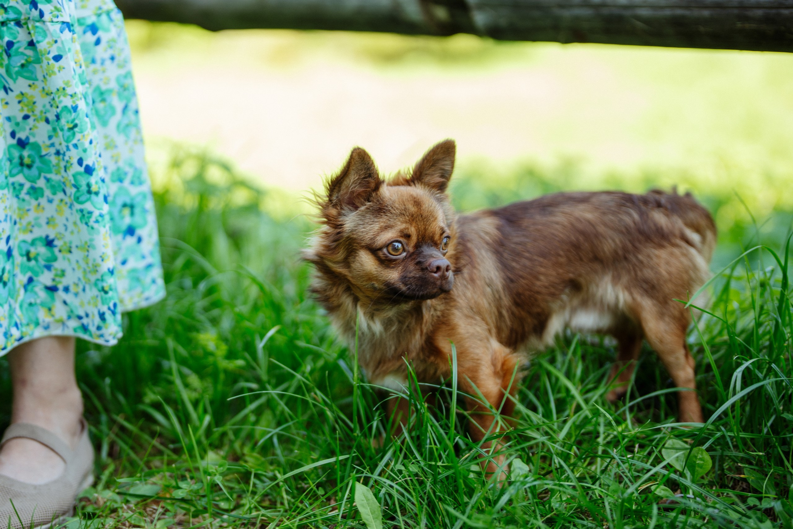 Сюжет № 9|Музей культуры дерева имени Е. И. Яранцева