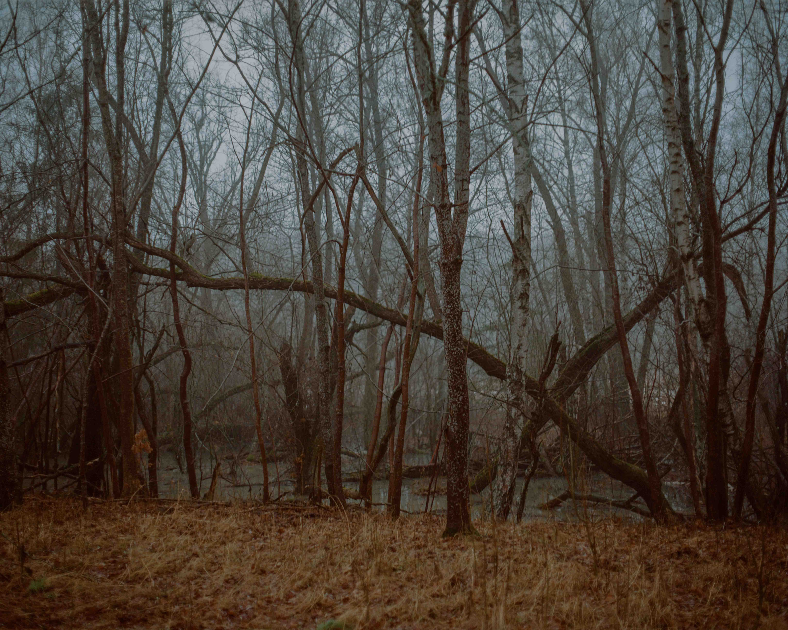 Проект «Wander Lines» Тевы Косич (Teva Cosic). Private image