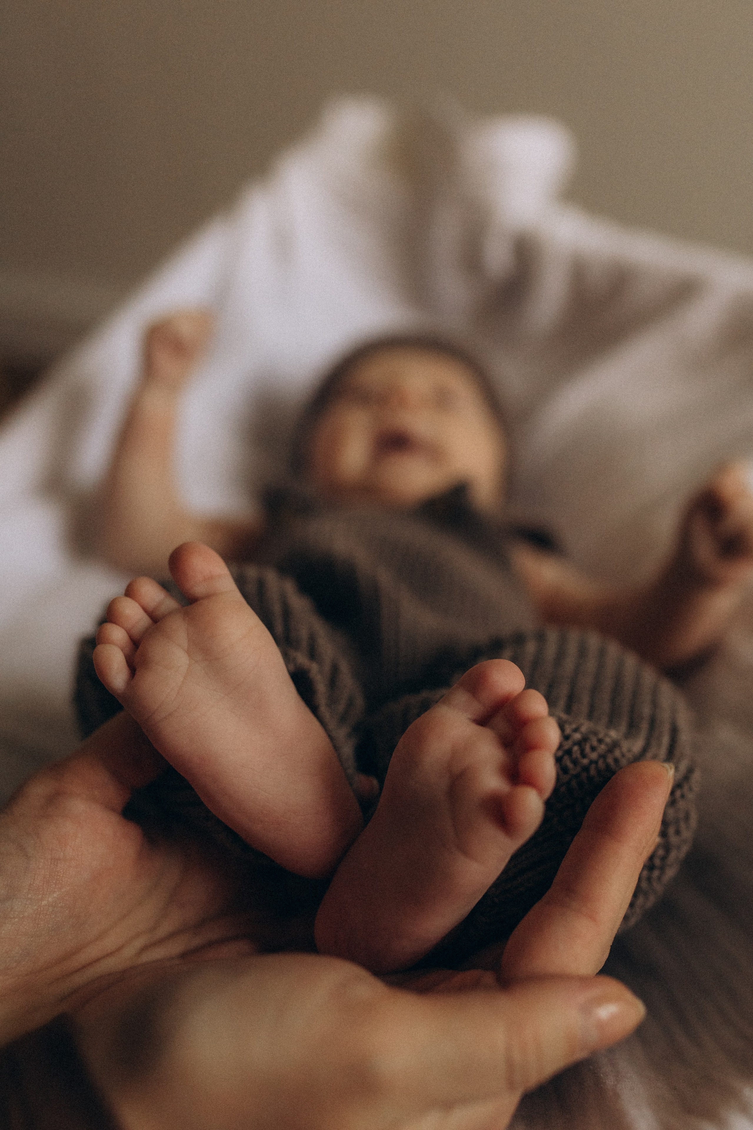 Услуги. Семейный и детский фотограф в Дмитрове и Москве Старцева Ирина