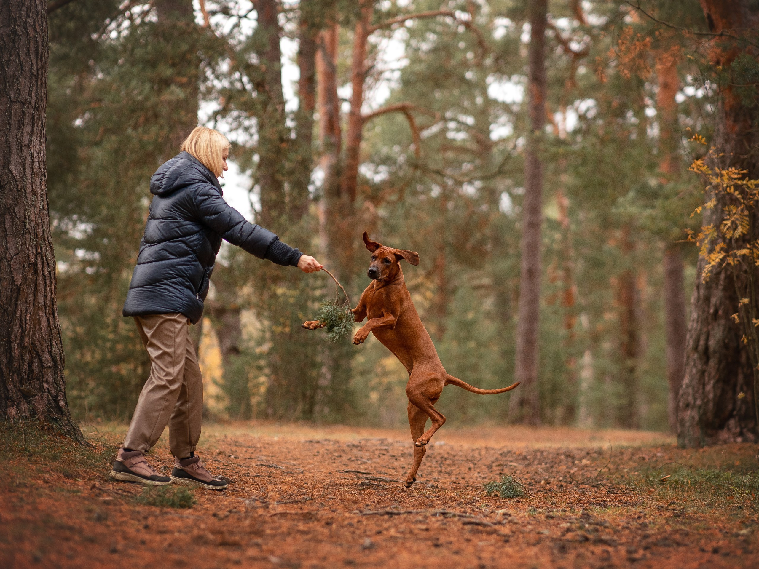 Софи. Родезийские Риджбеки в Санкт-Петербурге