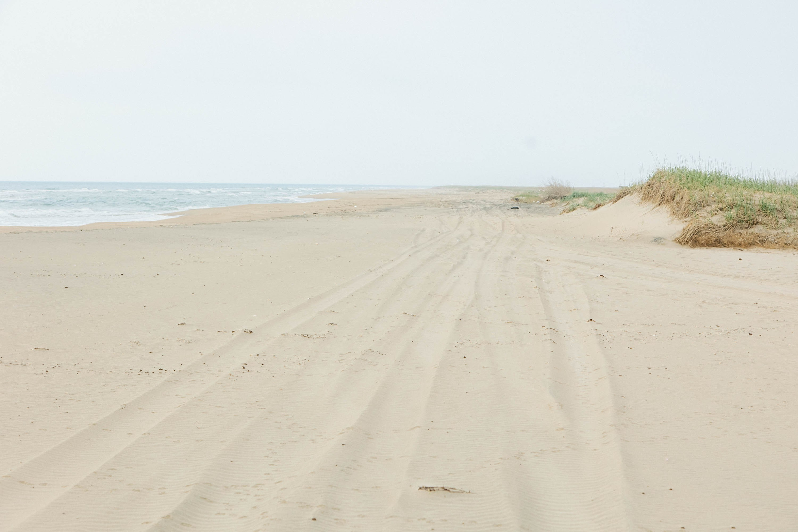 Пока не застроили. Evgeniya Kokurina