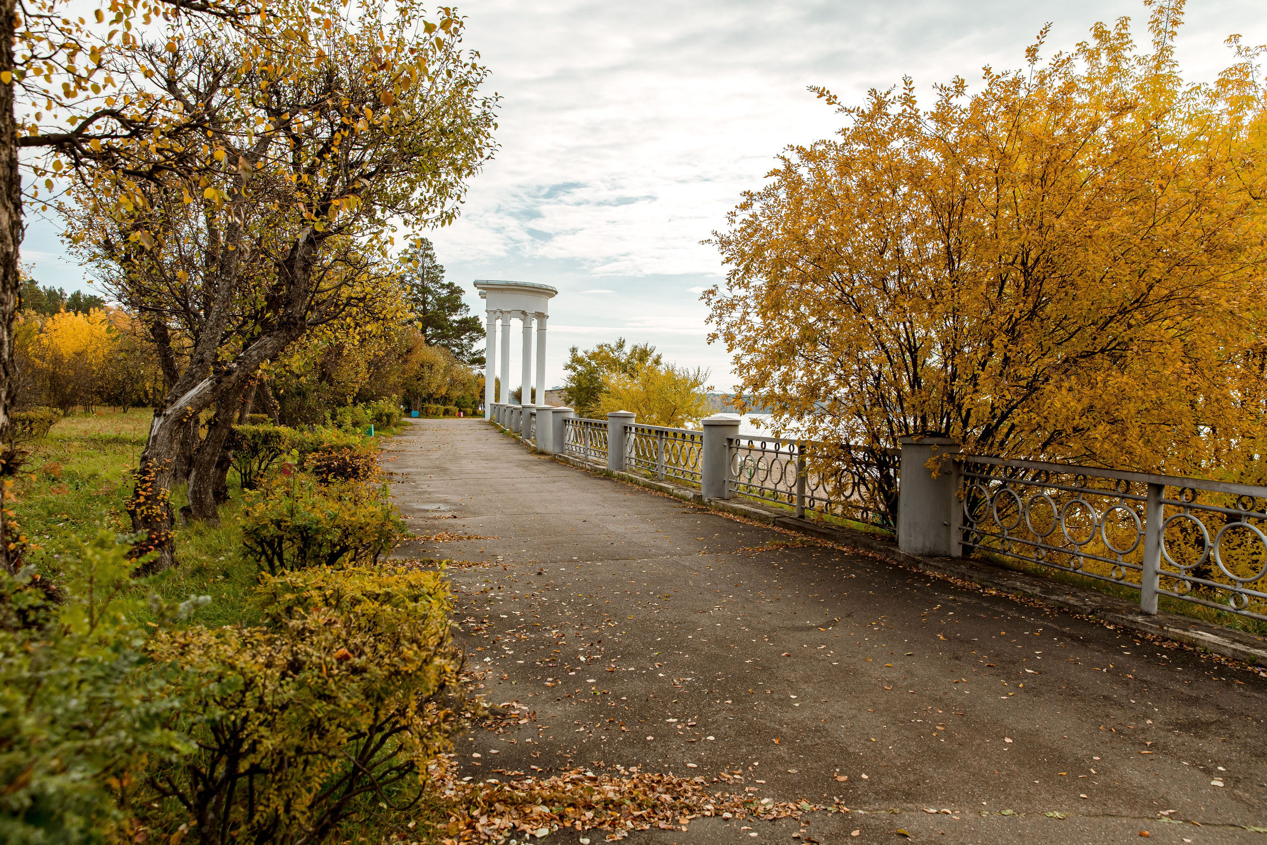 Осень в парке. Семейный и детский фотограф в Железногорске Саламахо Ольга