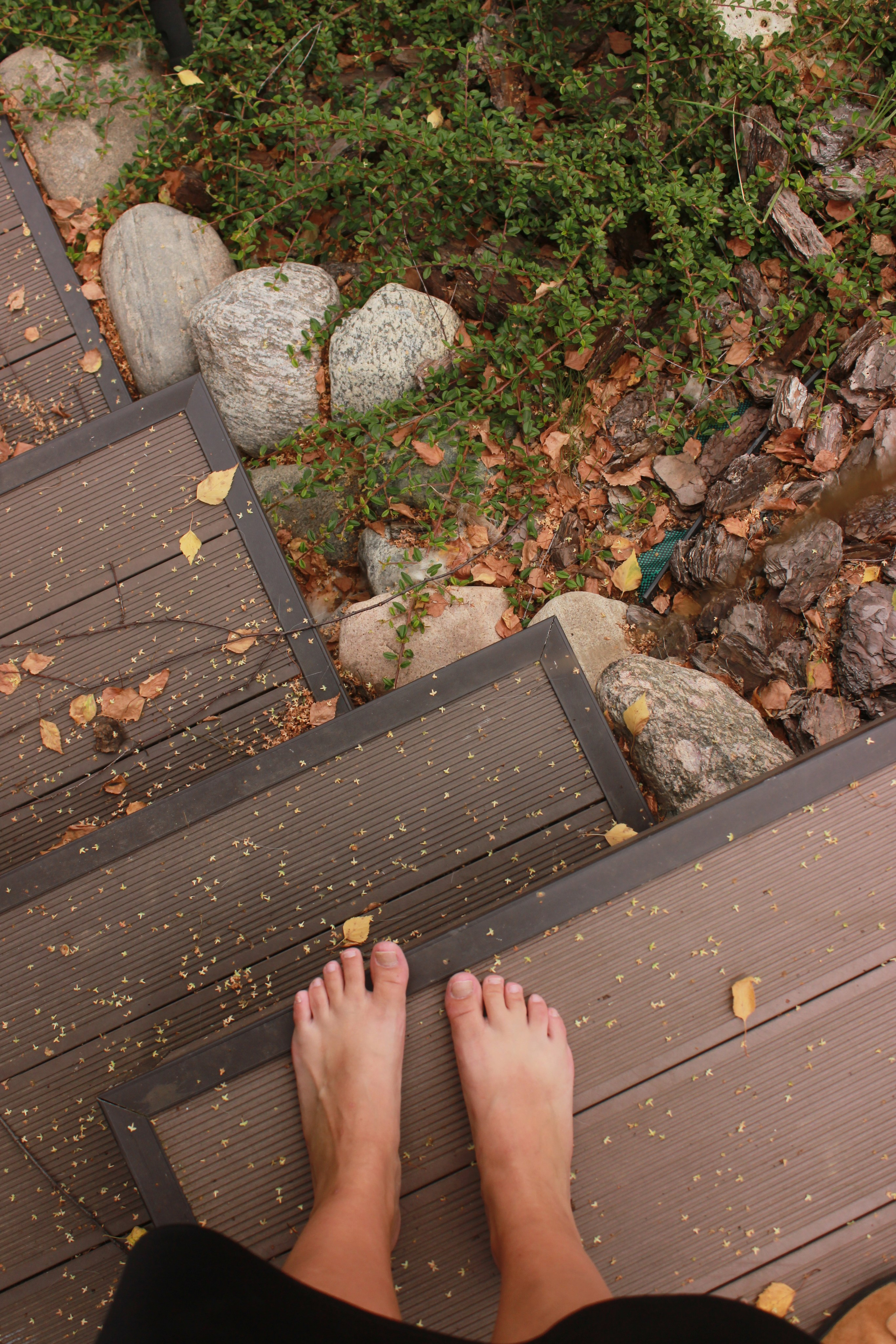 GARDEN IN S. LA. Ландшафтный дизайн в Минске и Гродно