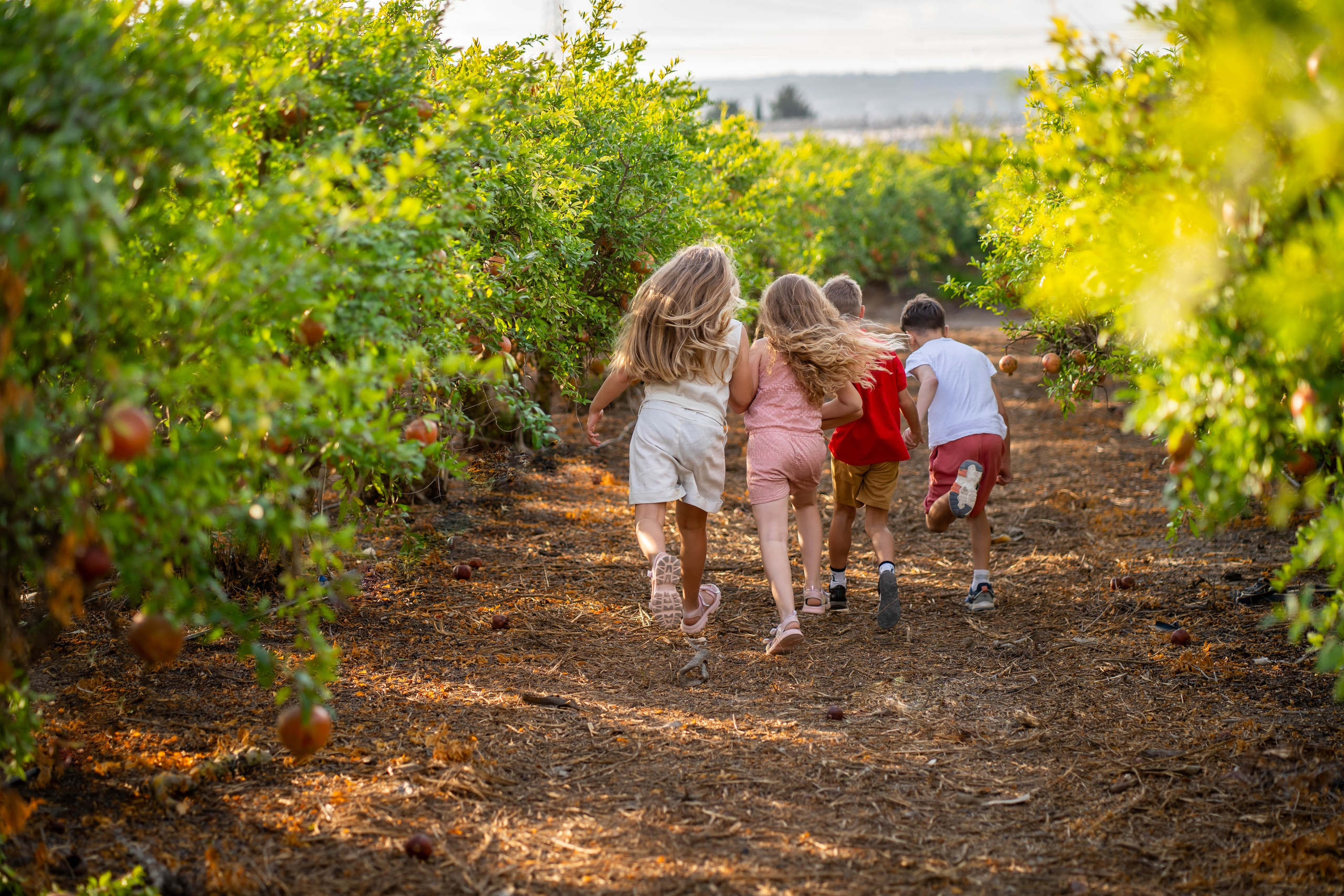 Гранатовый сад. Семейный и детский фотограф в Израиле и Москве Дорошок Надя
