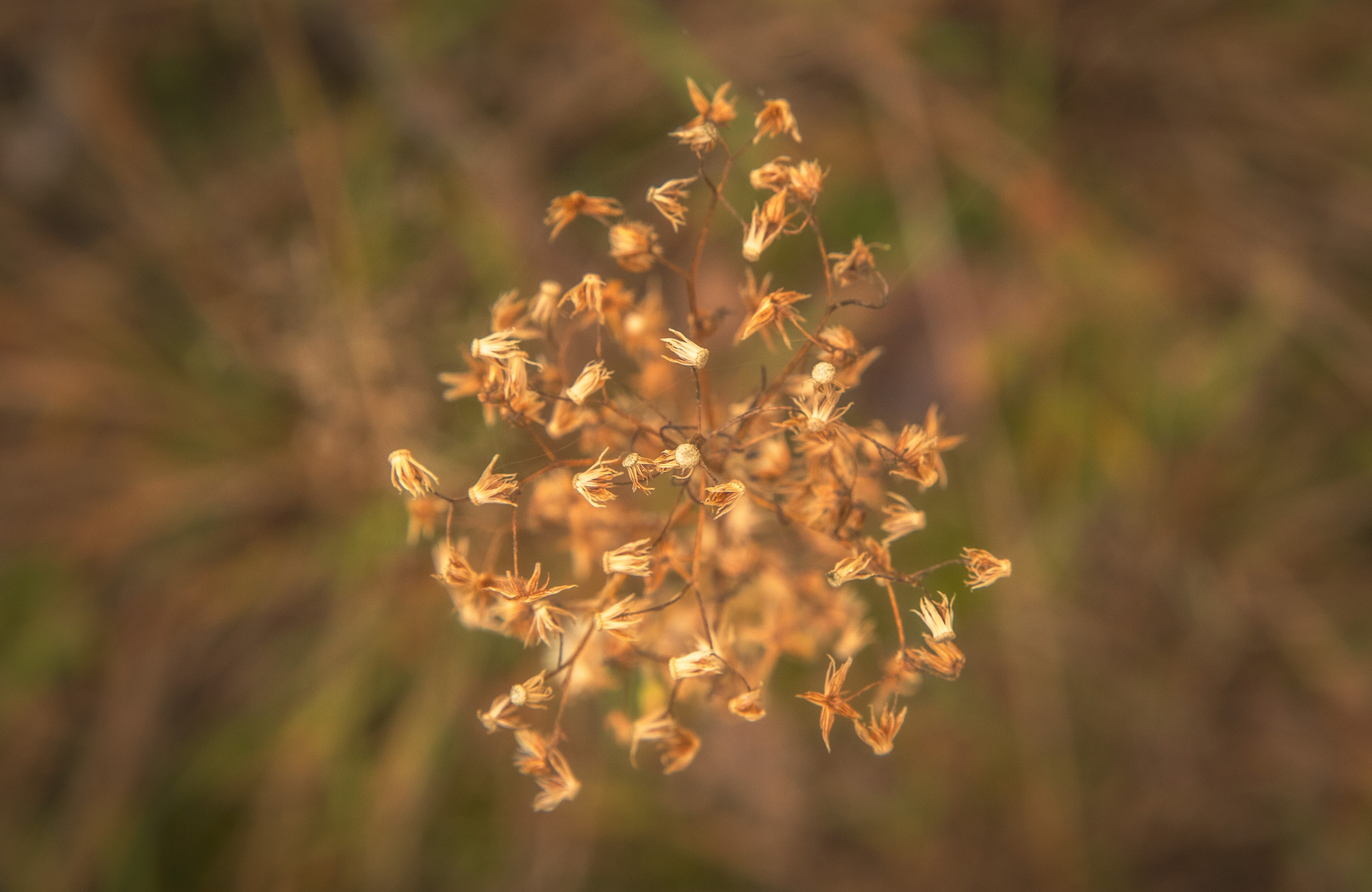 ТВОРЧЕСТВО. Творческая студия АЛНИфото