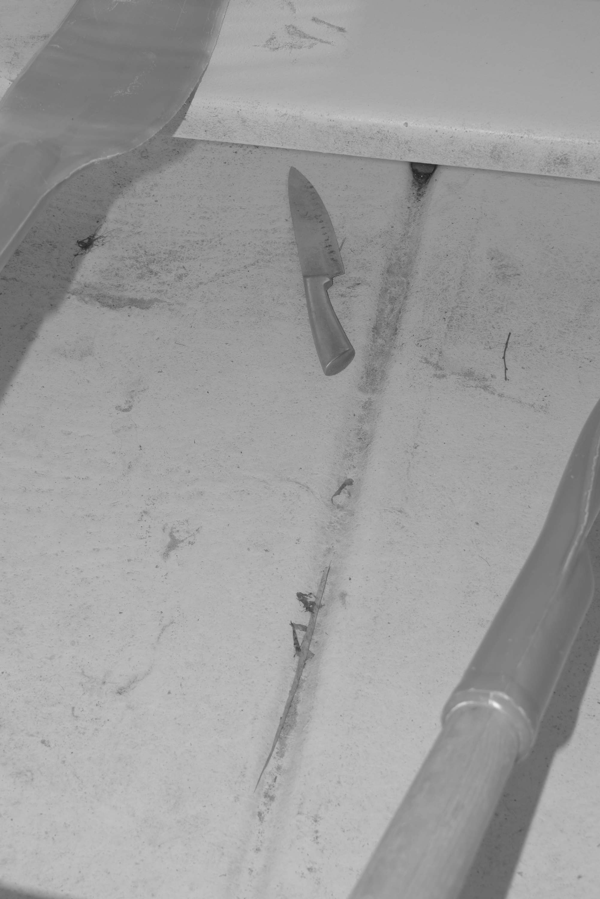 About fish. Maria Pilkevich