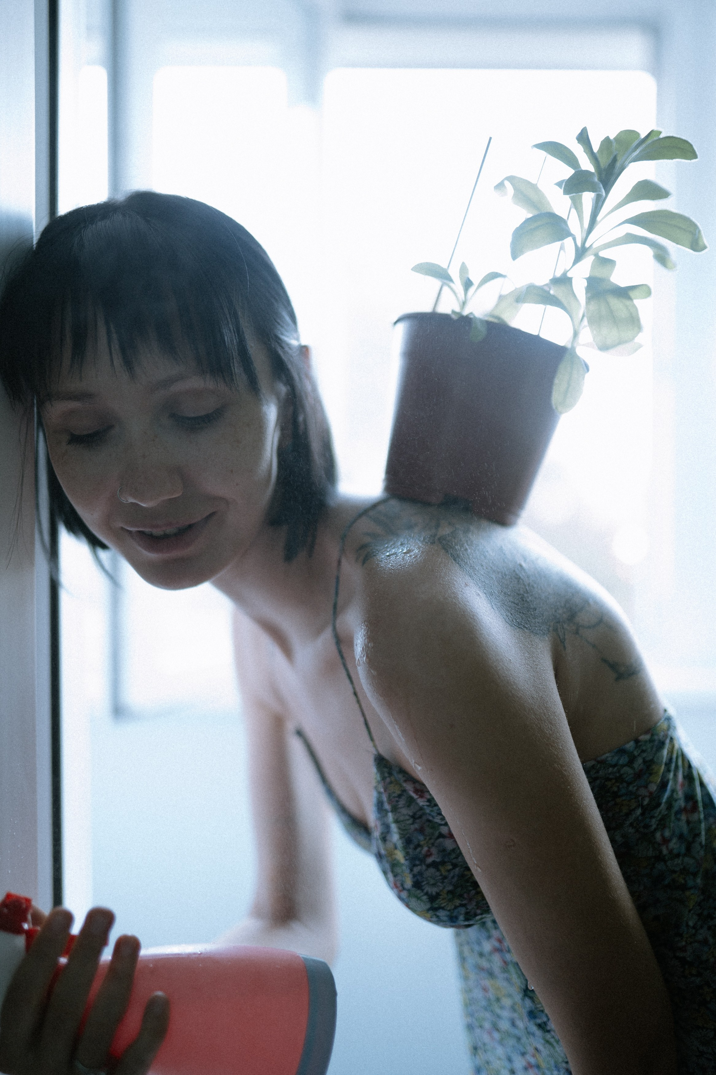 Мир, где рожден помидор. Андрейко Надежда