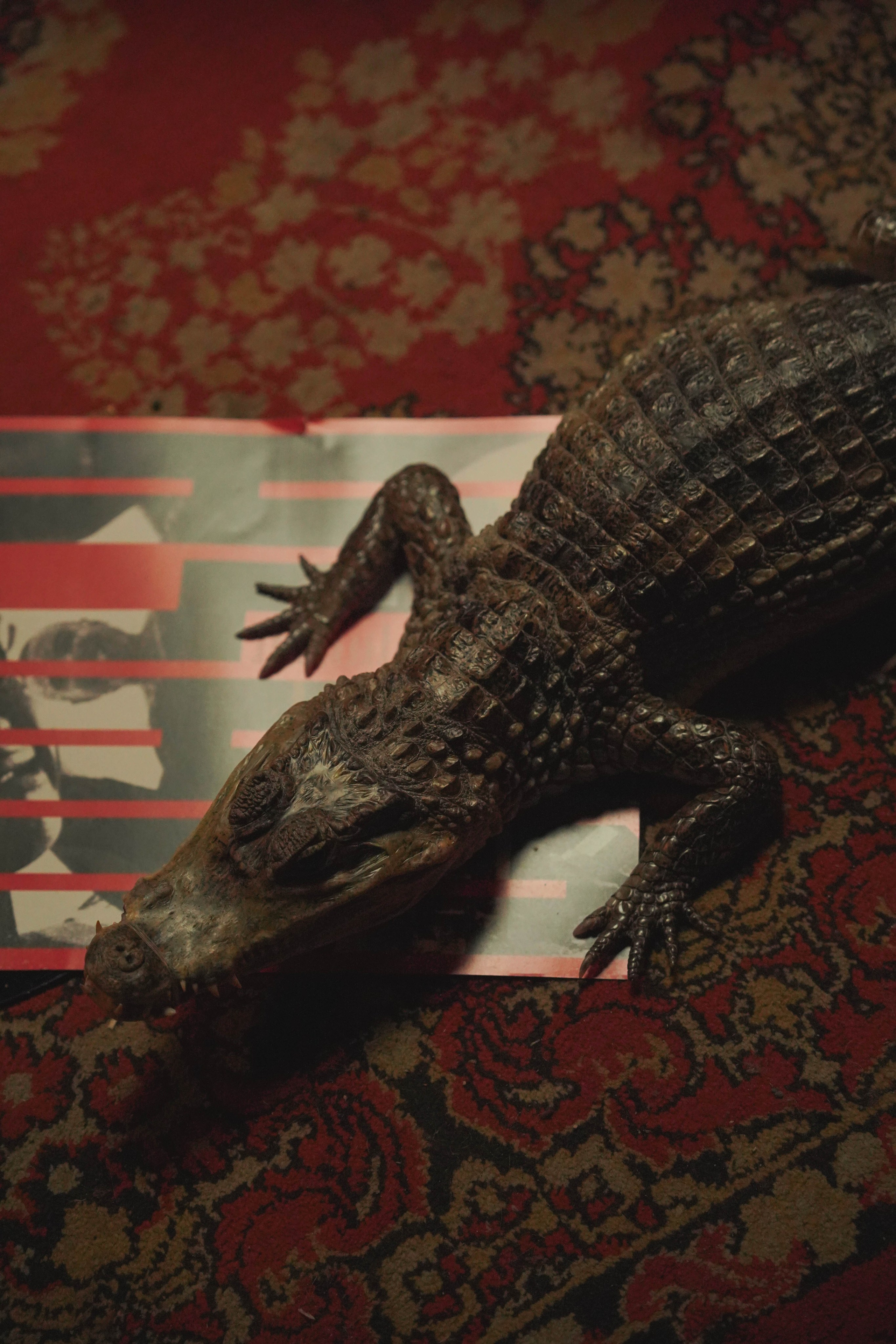 За кадром шоу «Подсечка». Beardy Pix