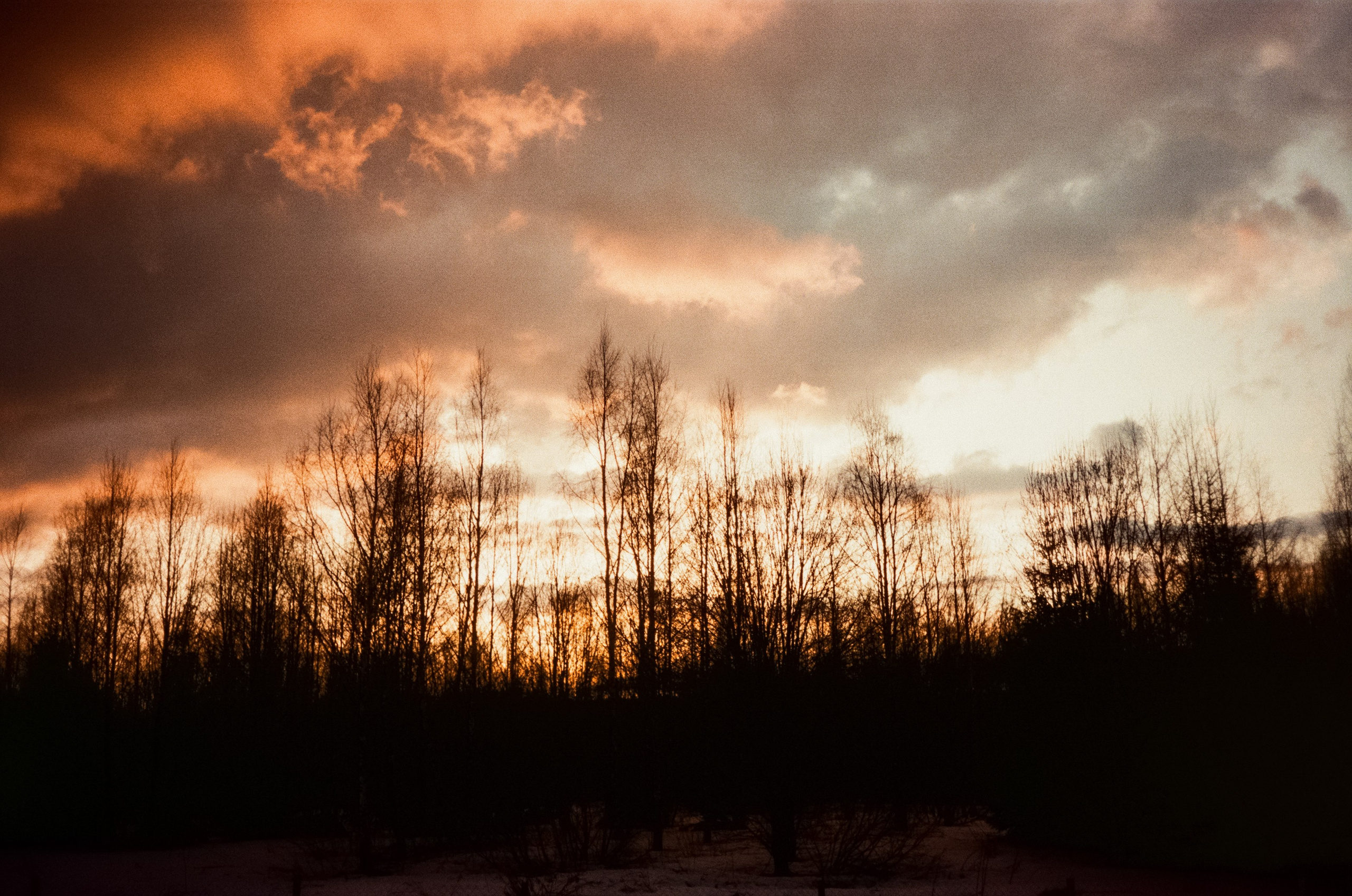 Ricoh FF-300D / Fujifilm X-tra 400 (просрочка) / Лукино март 2024 г