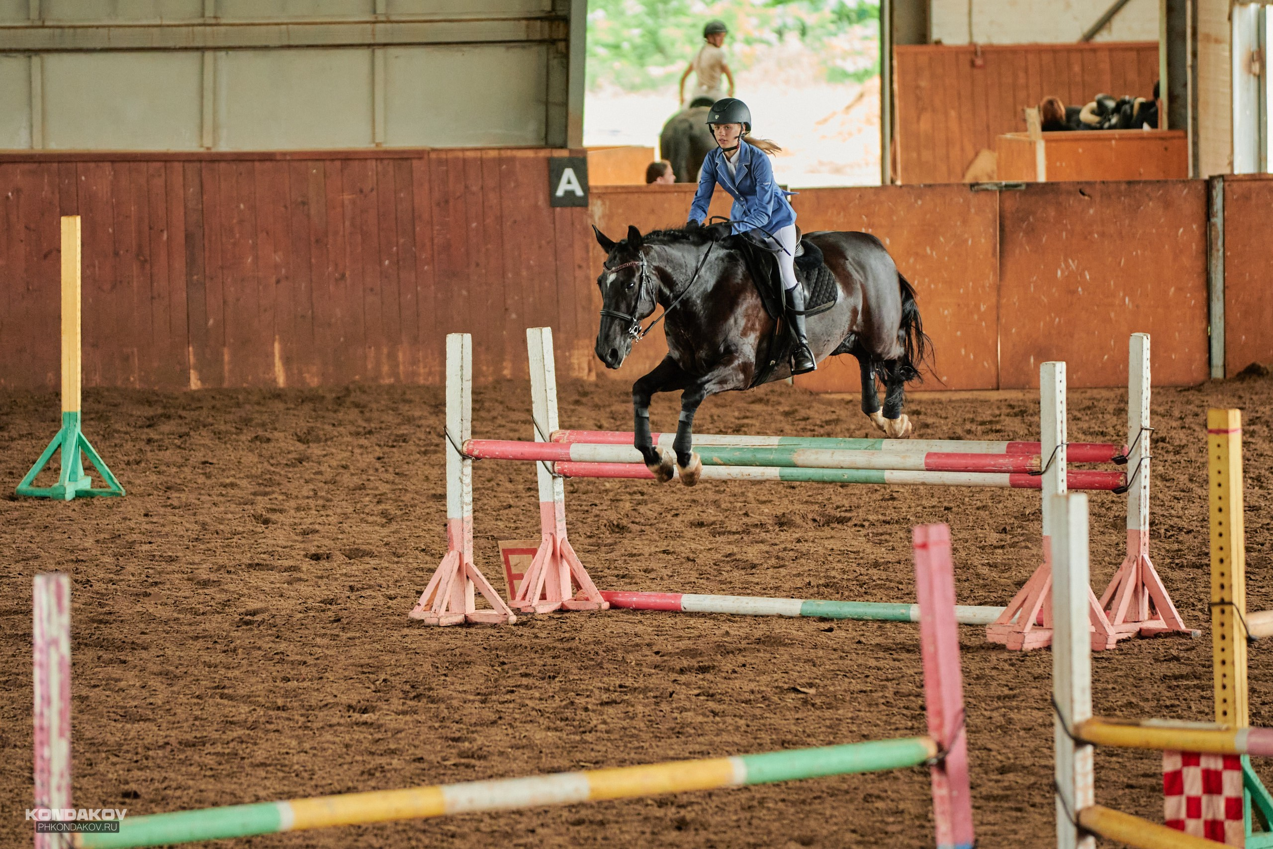 Съемка соревнований по конкуру для Риат. Фотограф в Иваново: Каталожная съемка одежды и постельного белья, Wildberries
