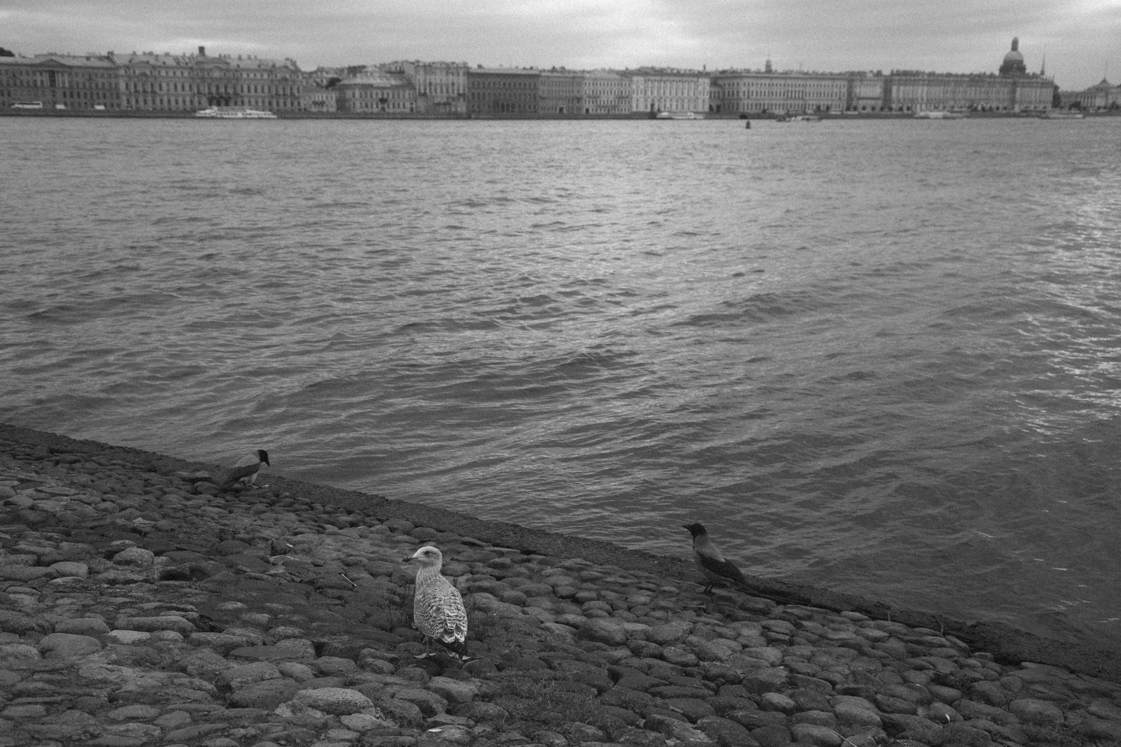 Portraits. Елена Цихон художник фотографии и мастер фото-ДНК