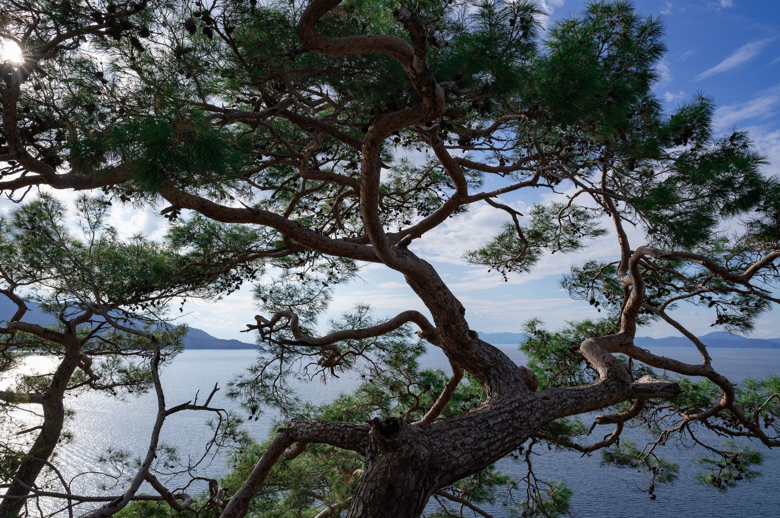 Photographer Yulia Lushnikova, Based in Valencia