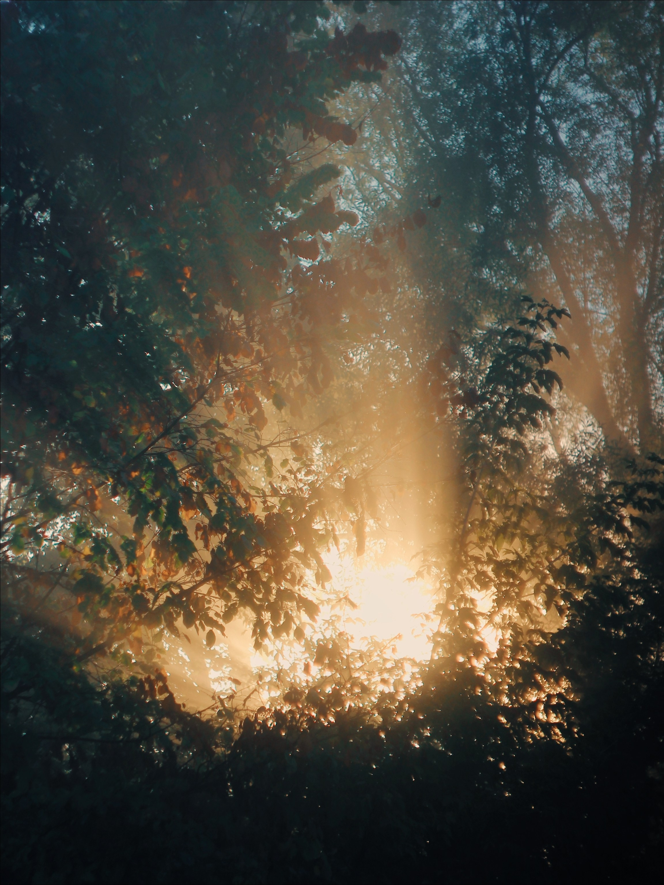 Опустошенность. С любовью, фотохудожник